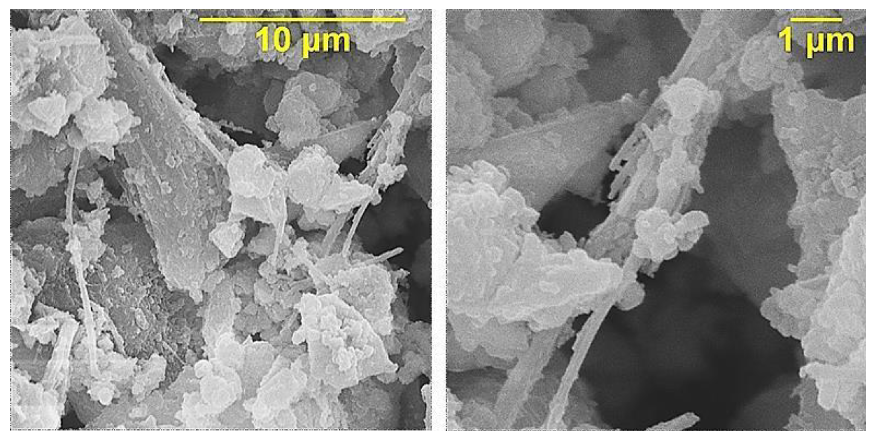 Polymers 15 02024 g002