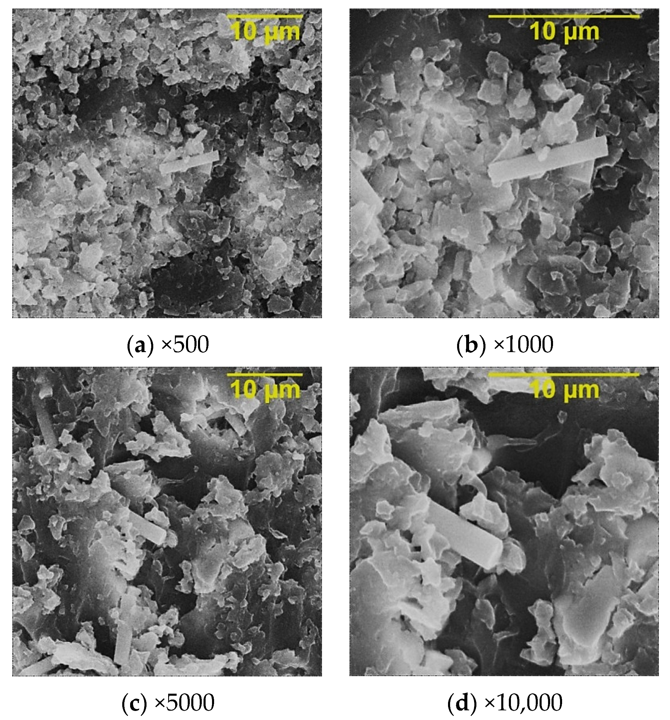 Polymers 15 02024 g013