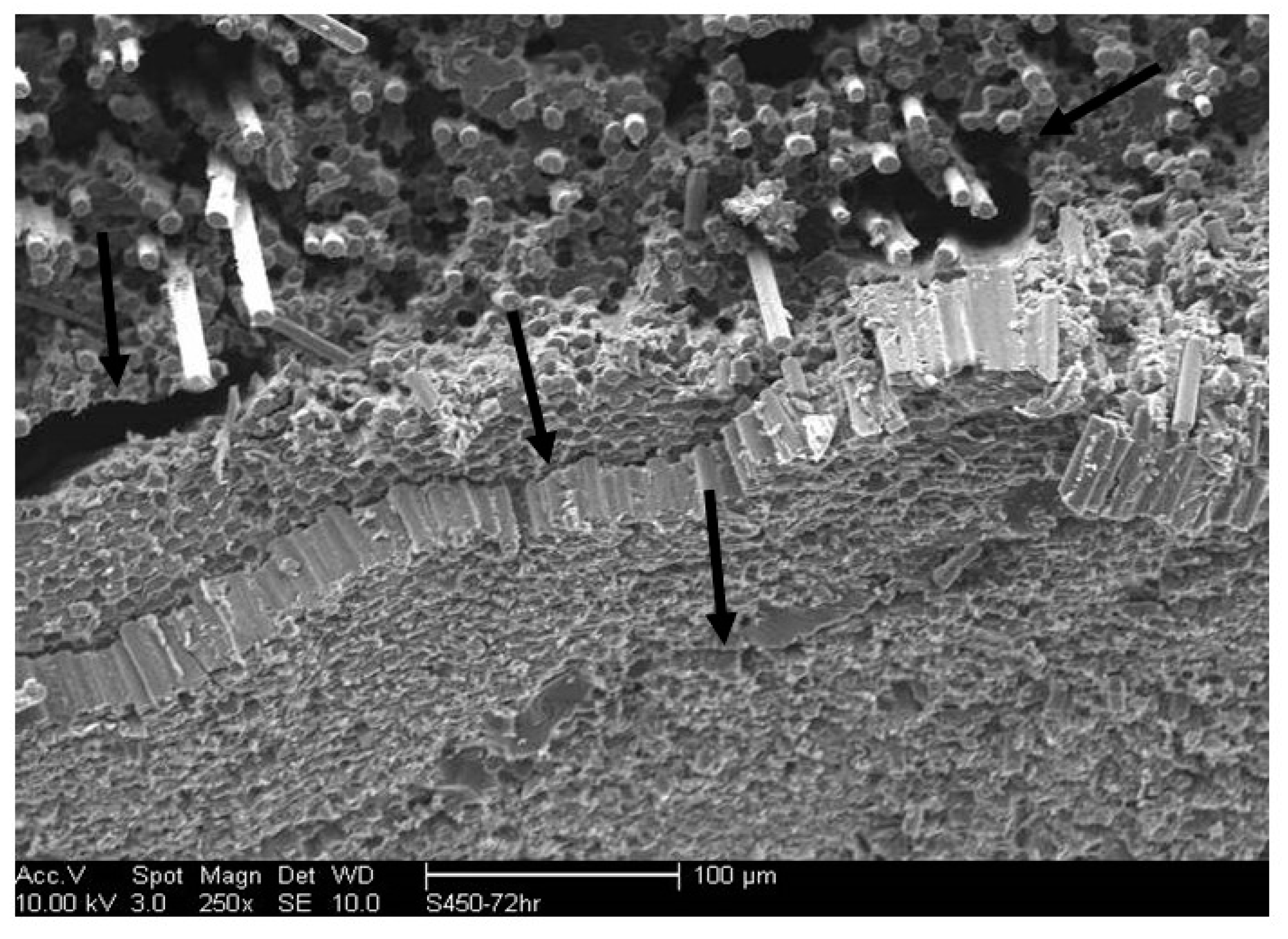 Polymers 15 02138 g003