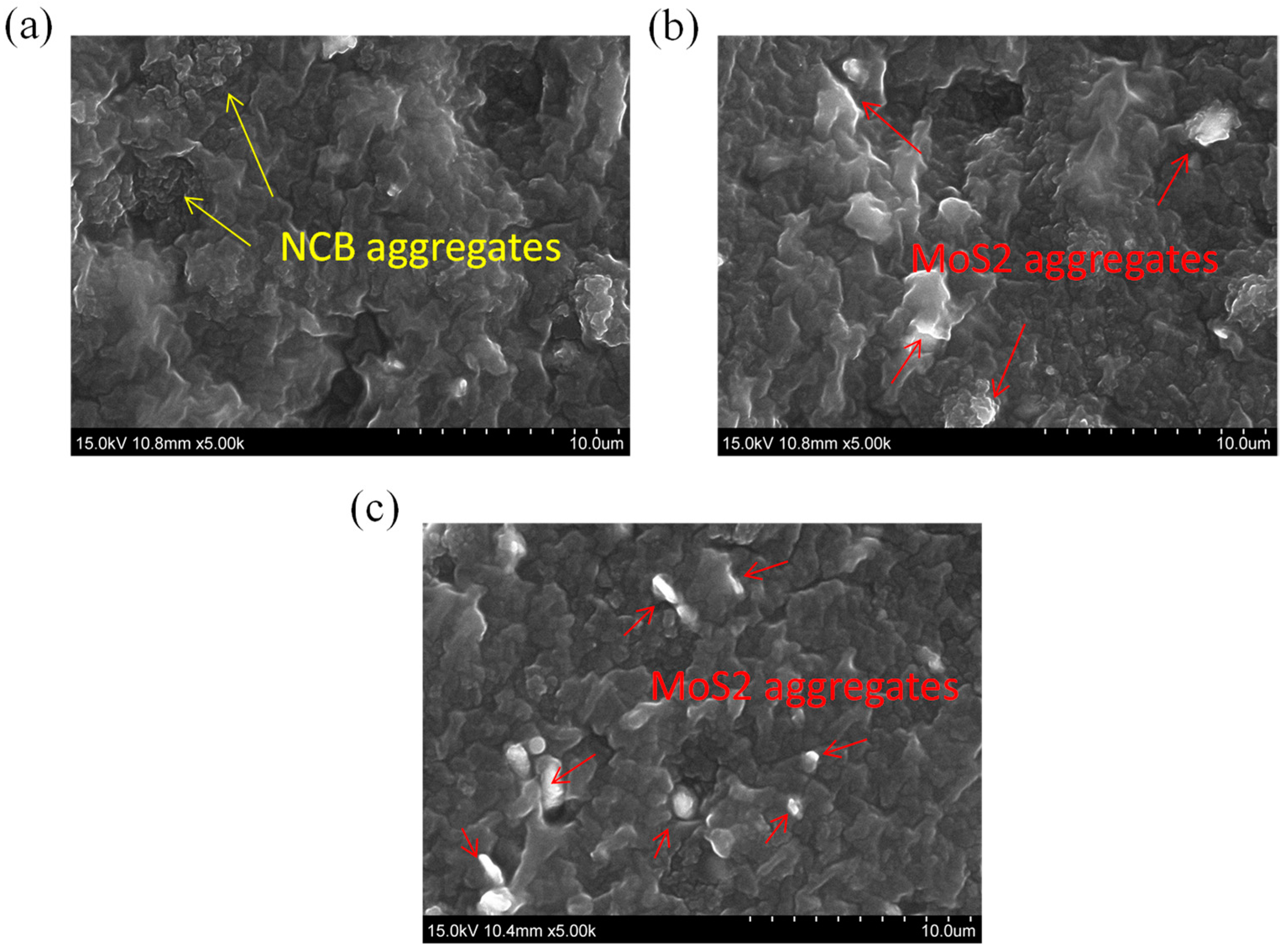 Polymers 15 02189 g006
