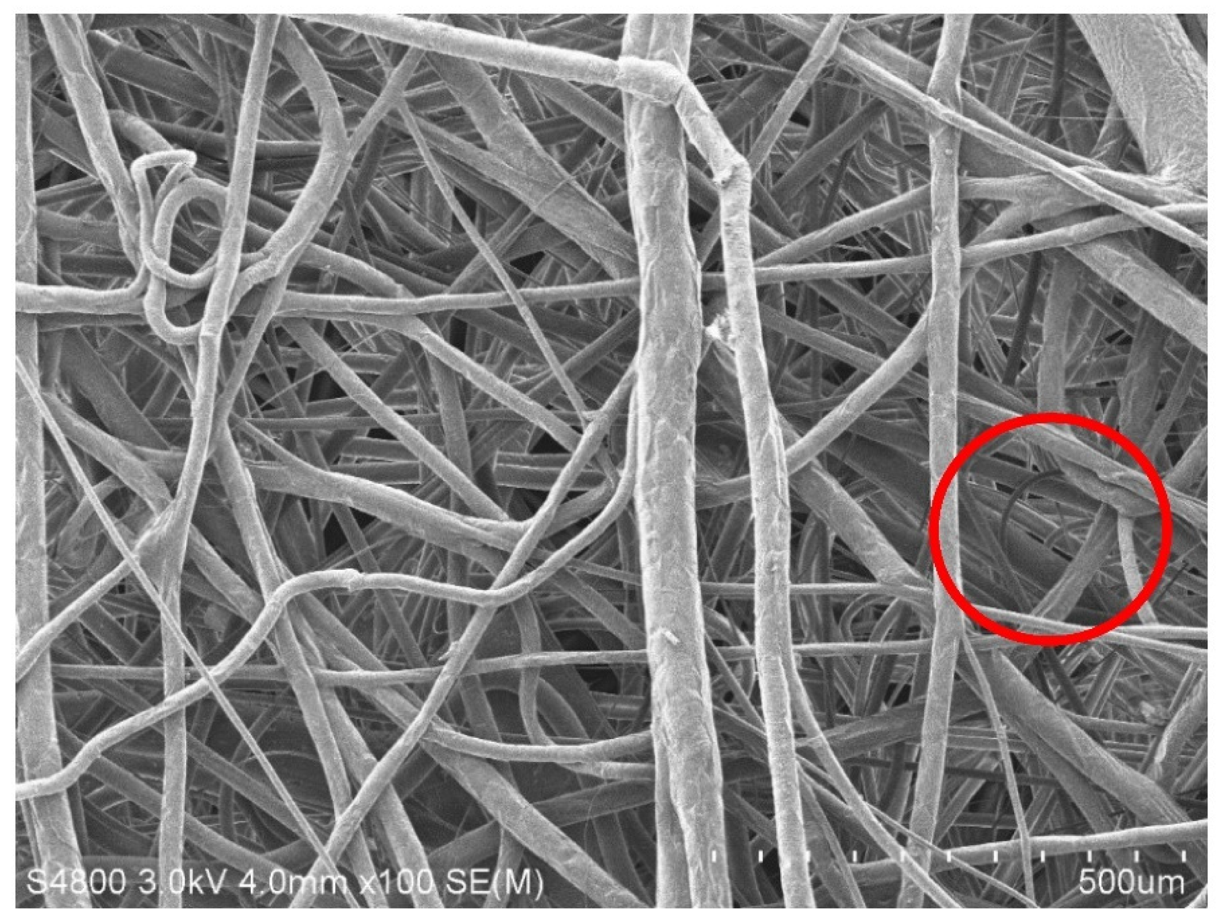 Polymers 15 02306 g011