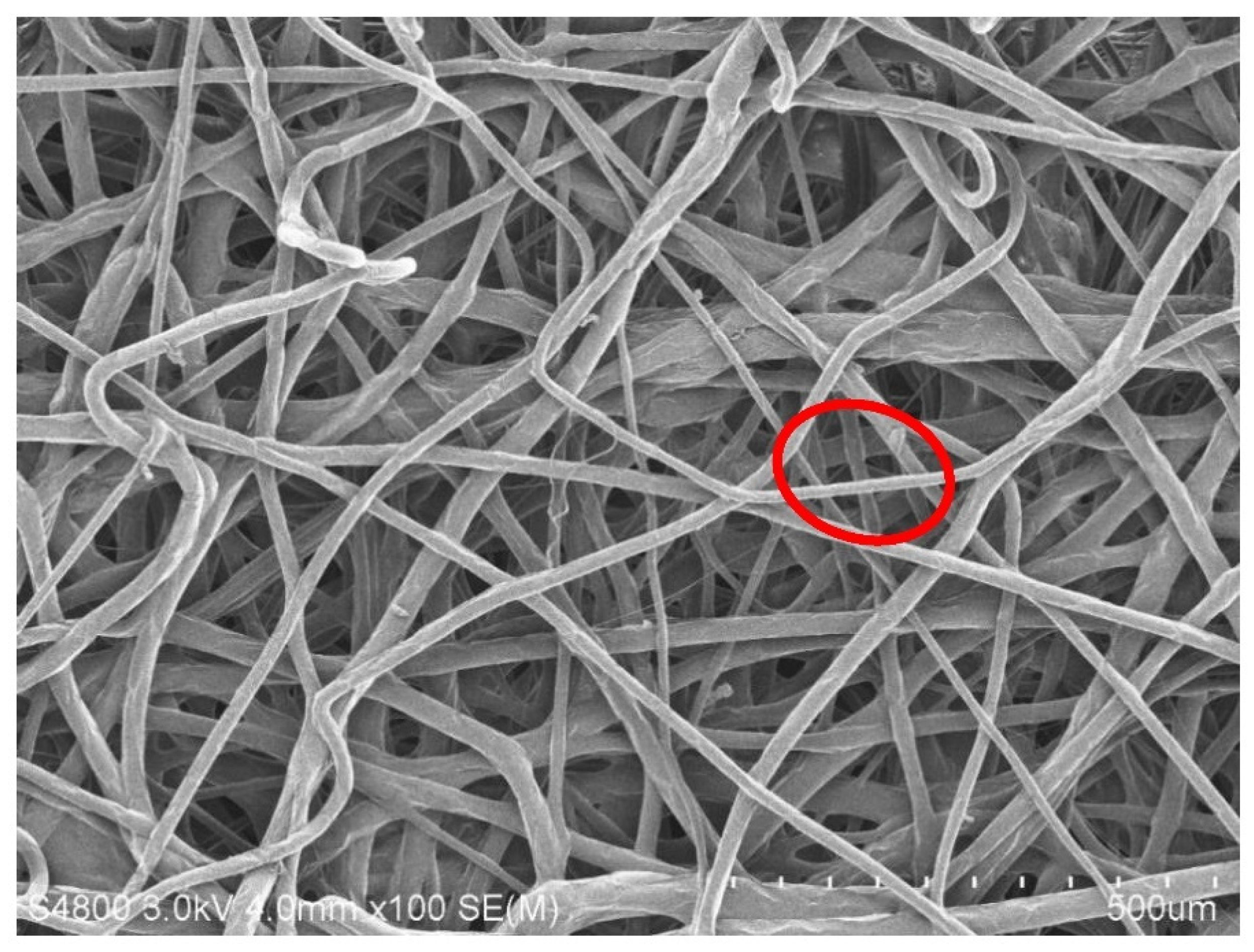 Polymers 15 02306 g012