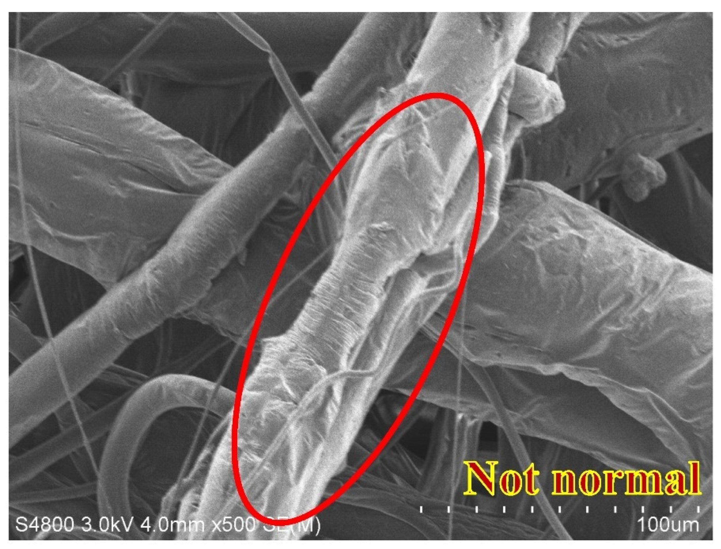 Polymers 15 02306 g013