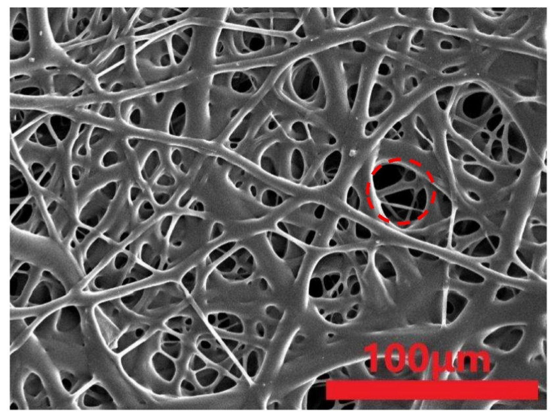 Polymers 15 02306 g015