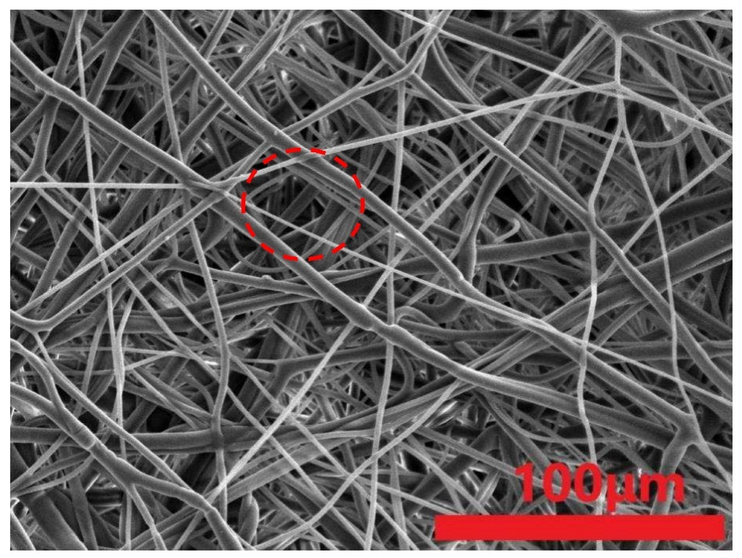 Polymers 15 02306 g016