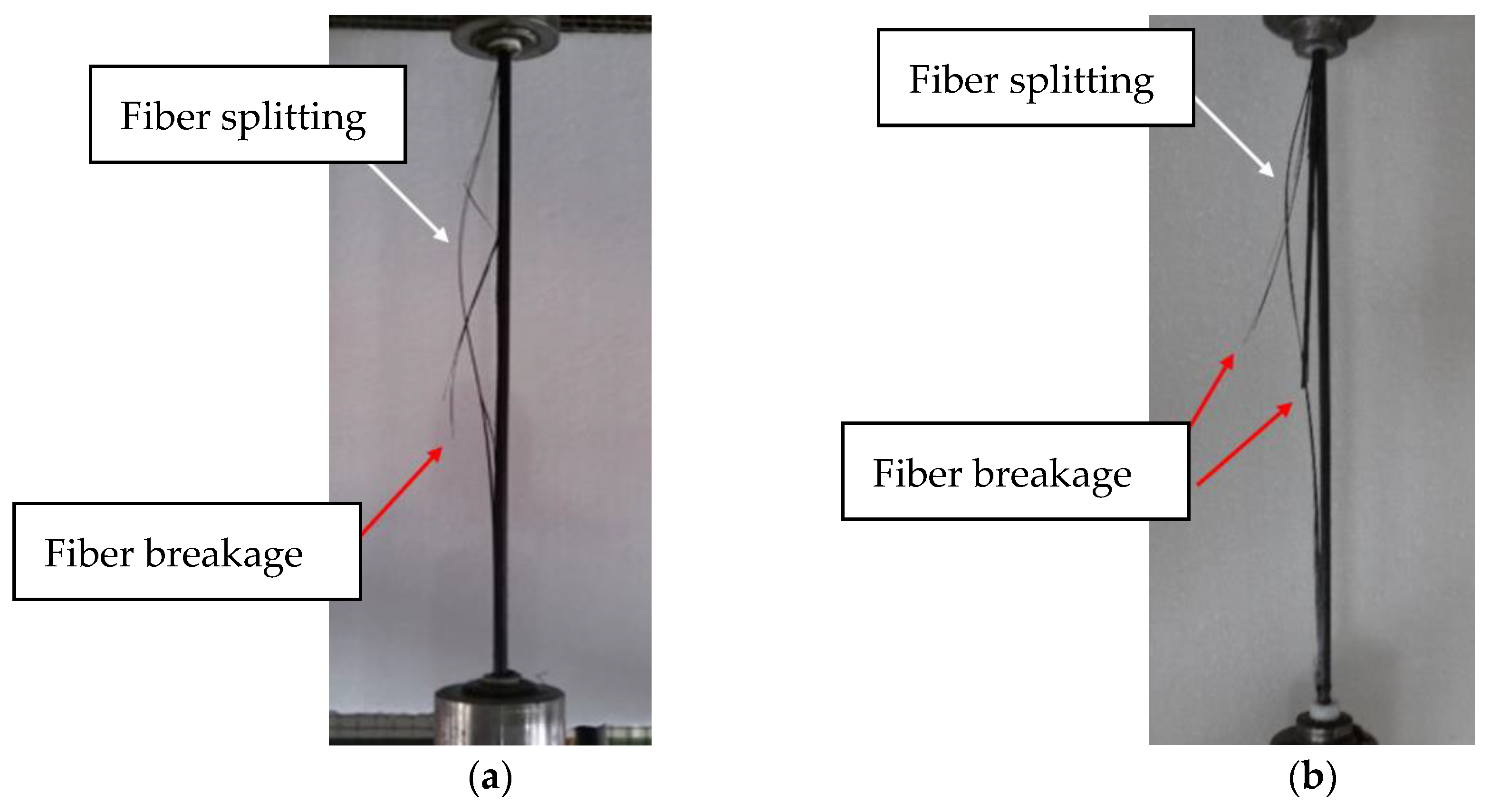 Polymers 15 02483 g006