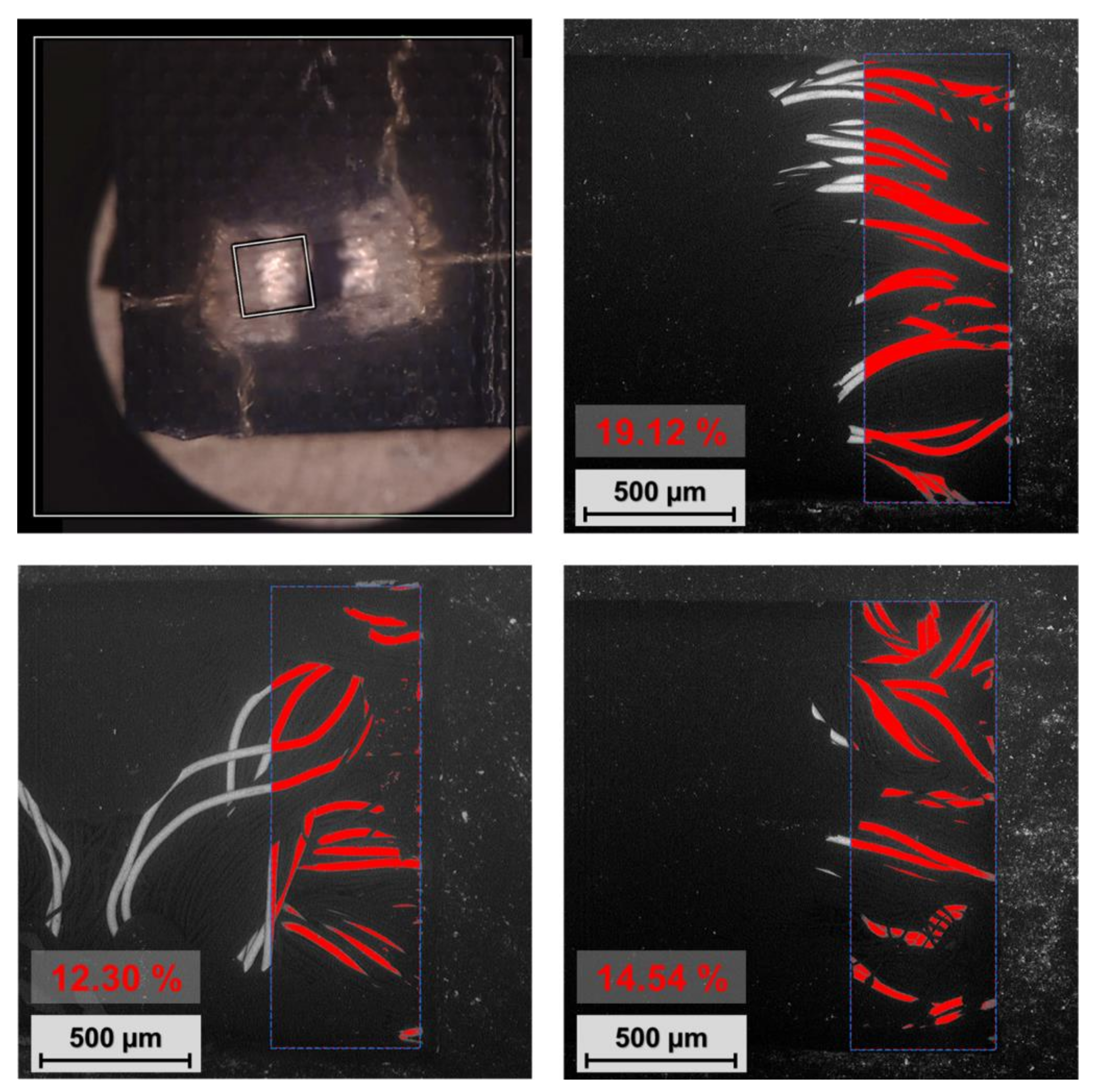 Polymers 15 02526 g013