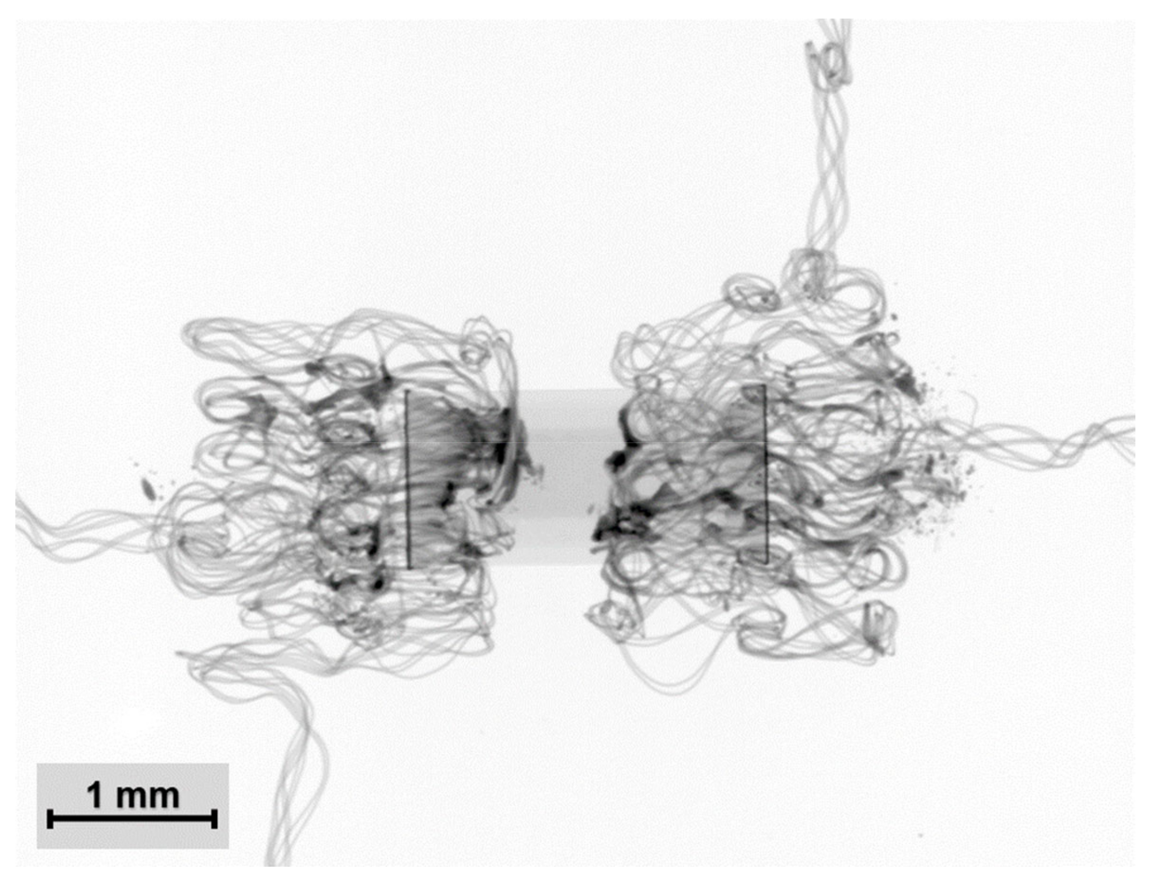 Polymers 15 02526 g015
