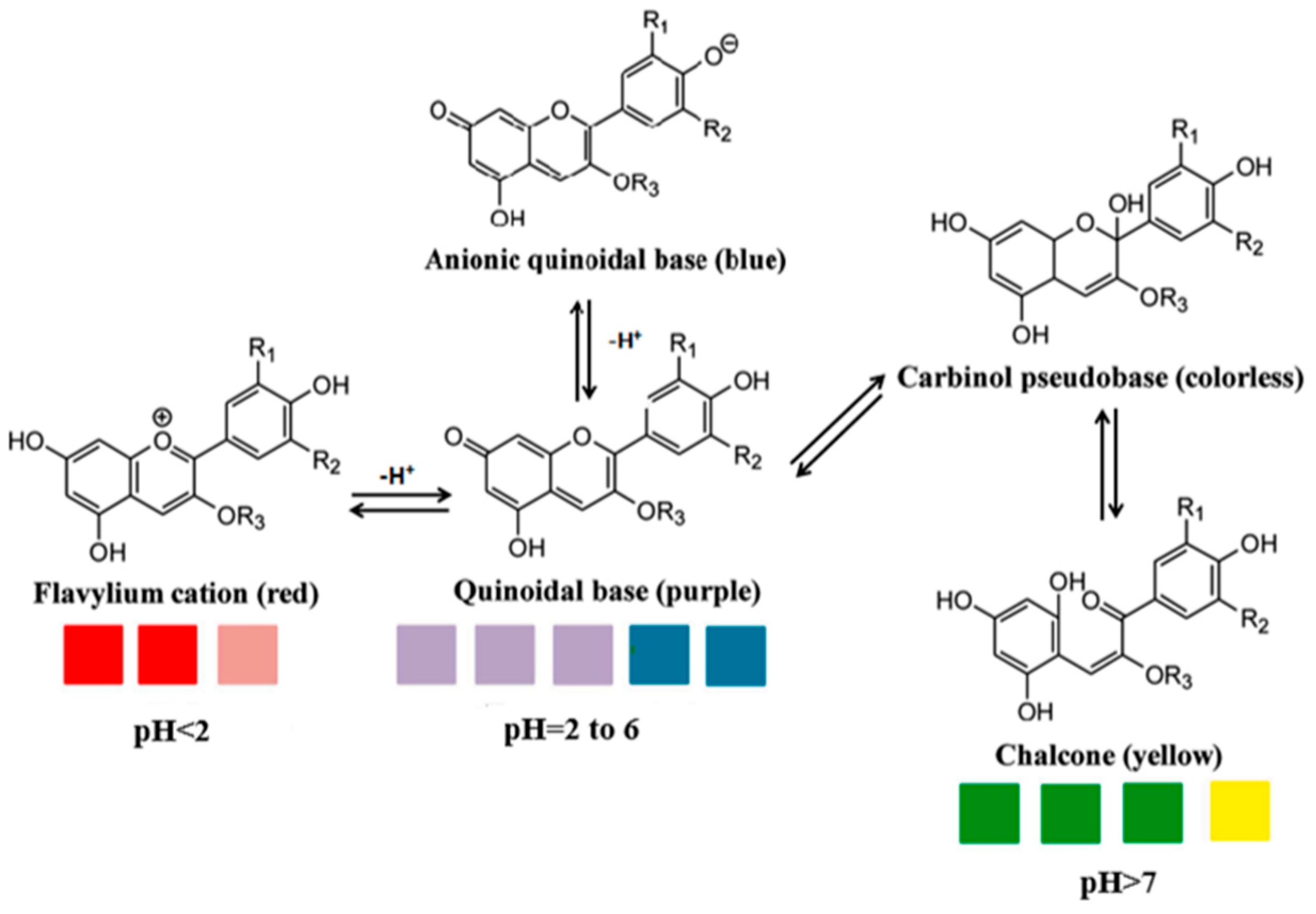 Polymers 15 02541 g003