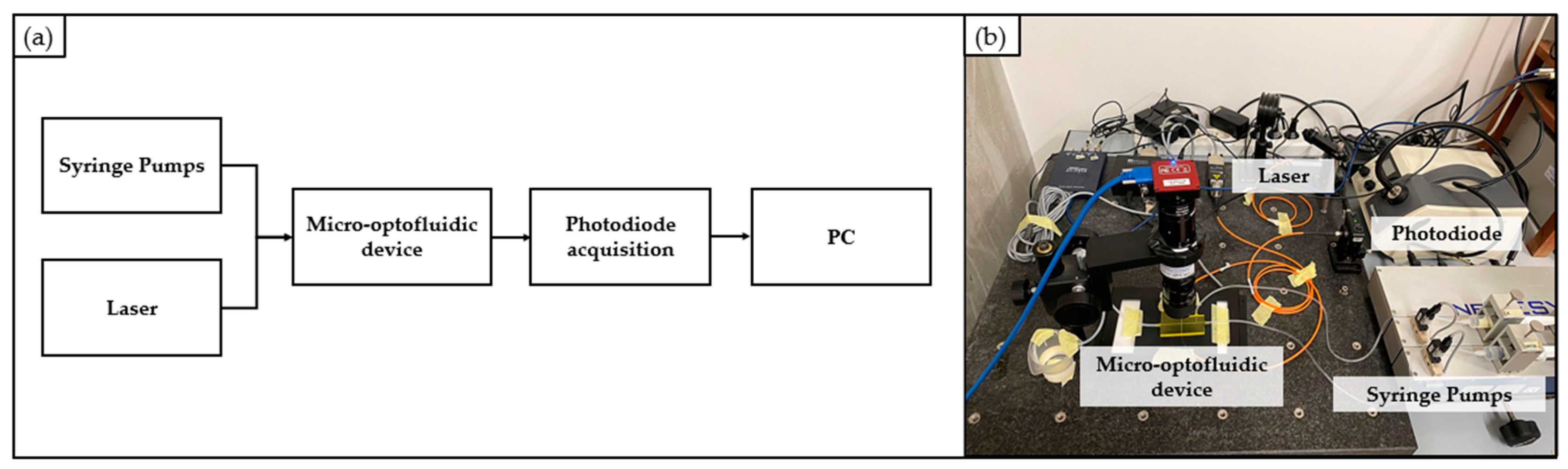 Polymers 15 02690 g005