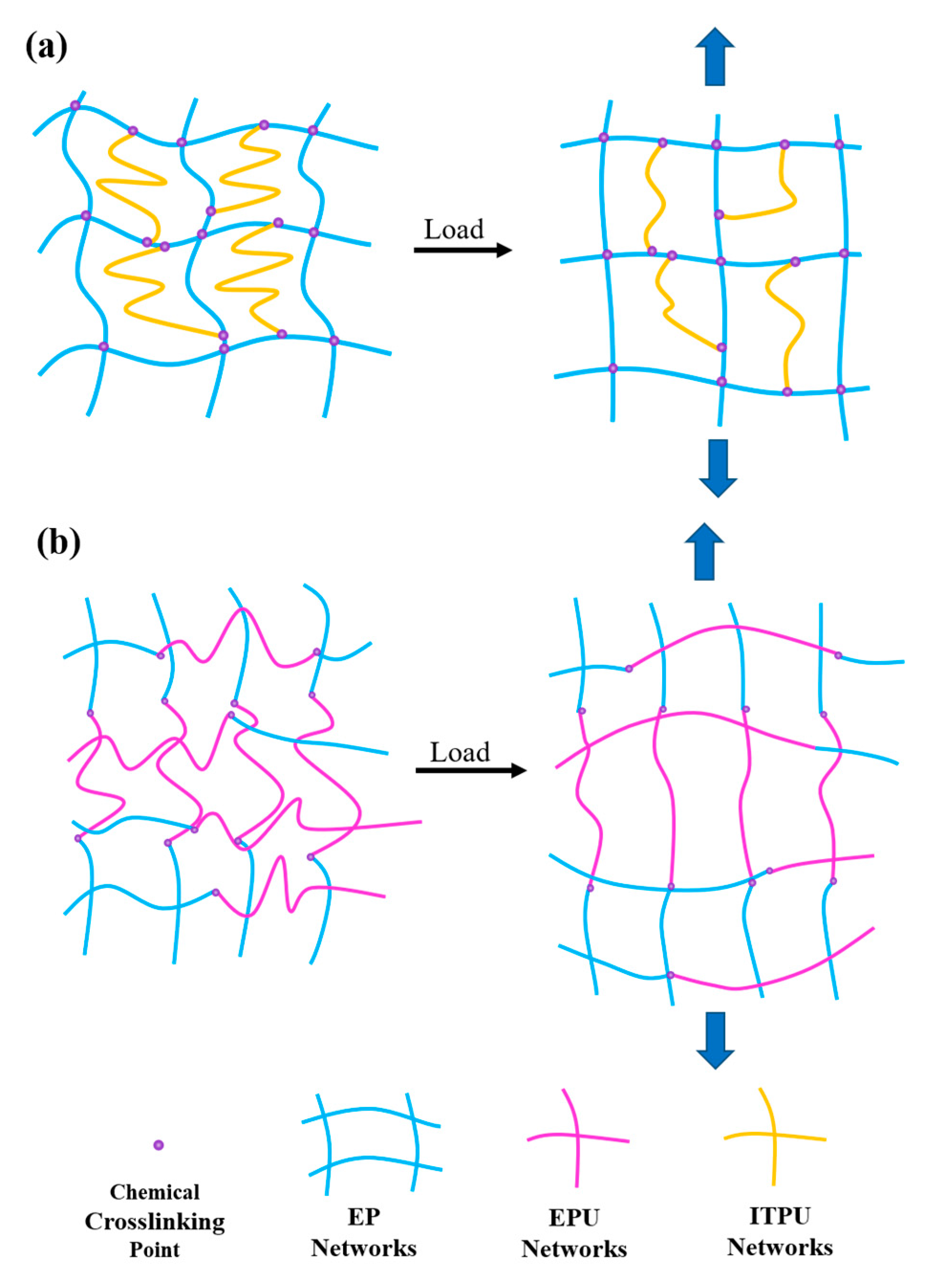 Polymers 15 02803 g005