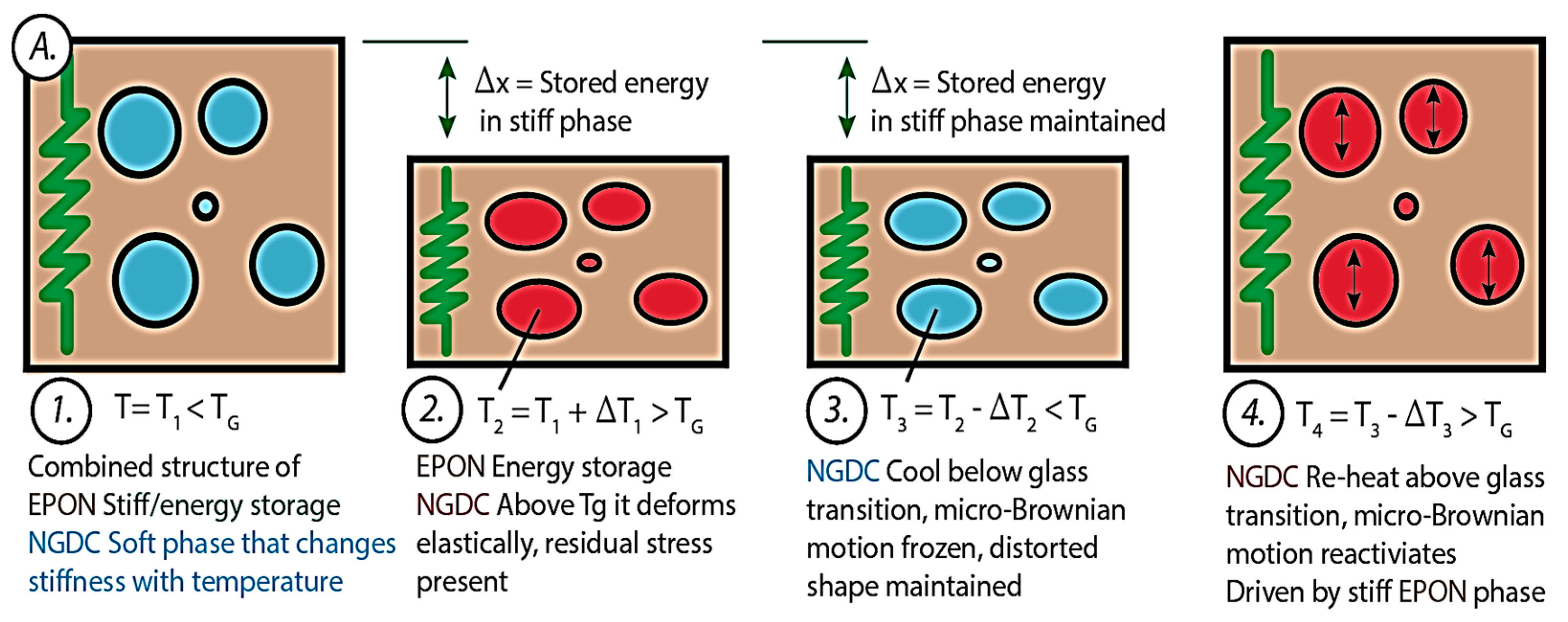 Polymers 15 02903 g003a