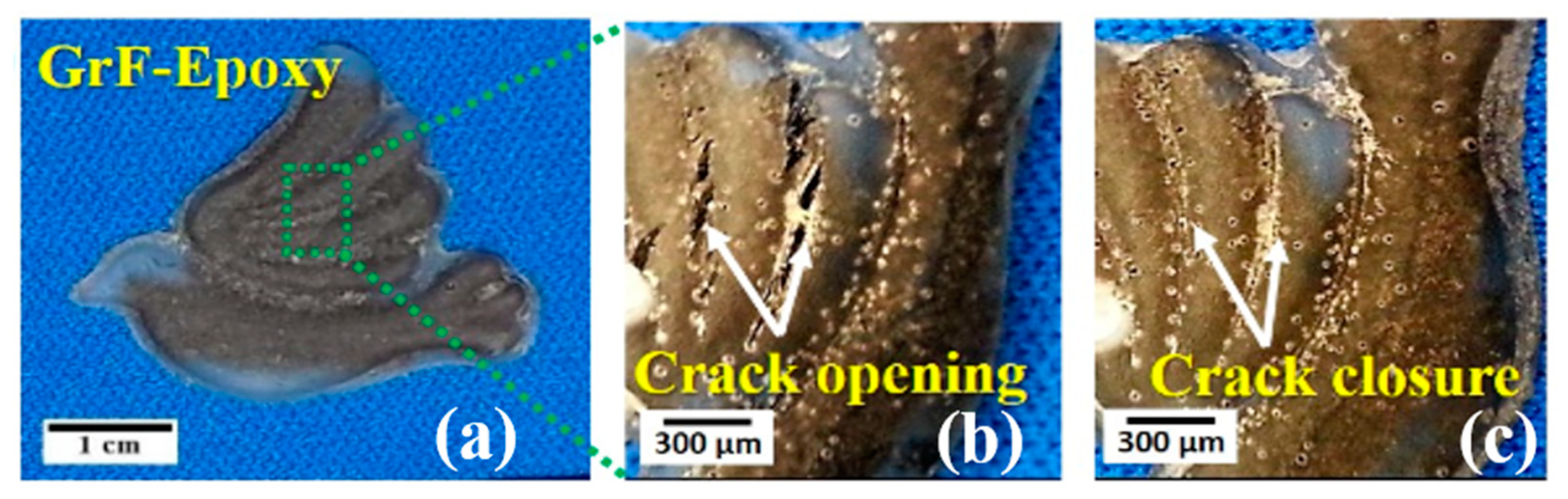 Polymers 15 02903 g010
