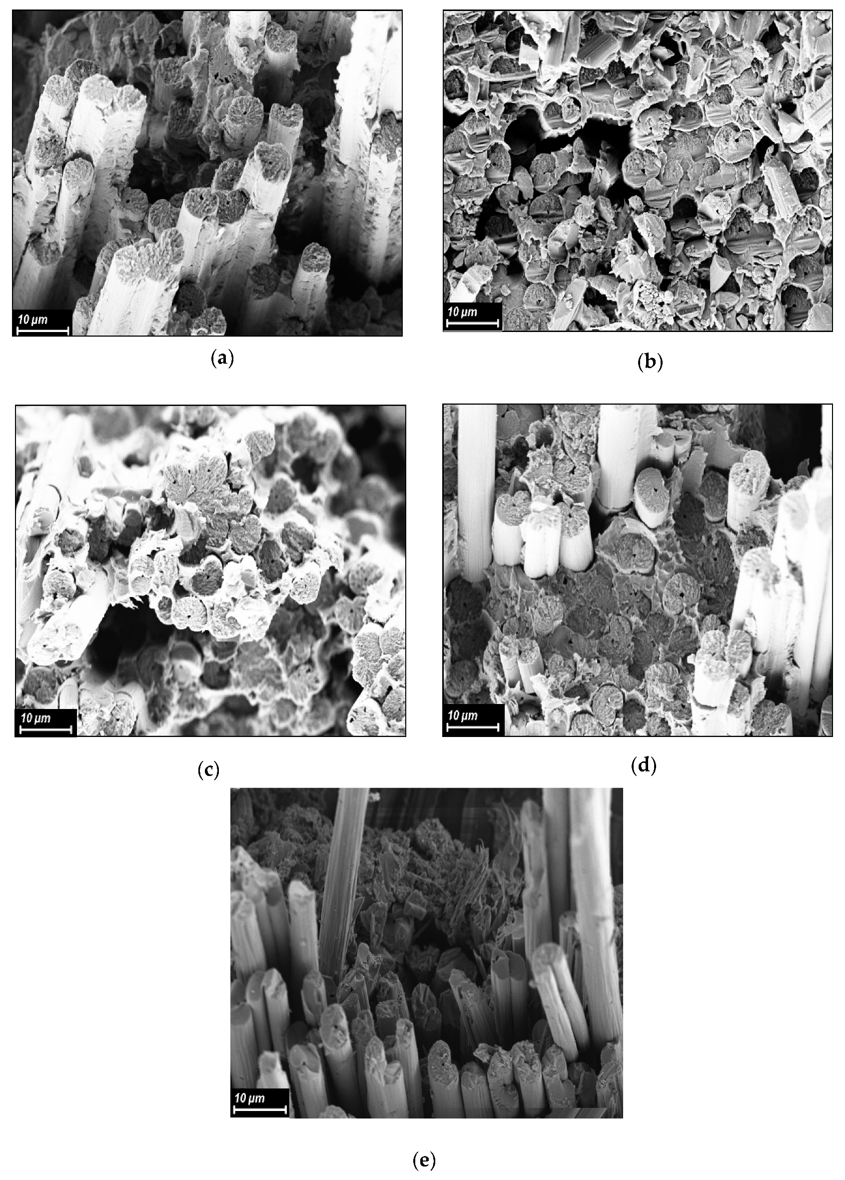 Polymers 15 02922 g005
