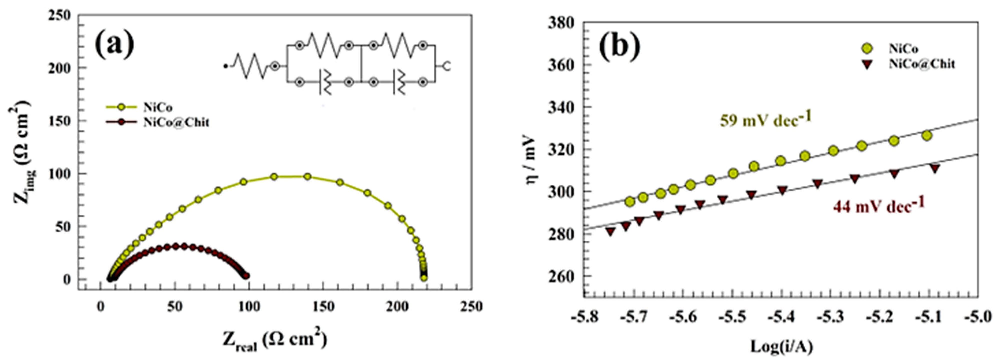 Polymers 15 03058 g010