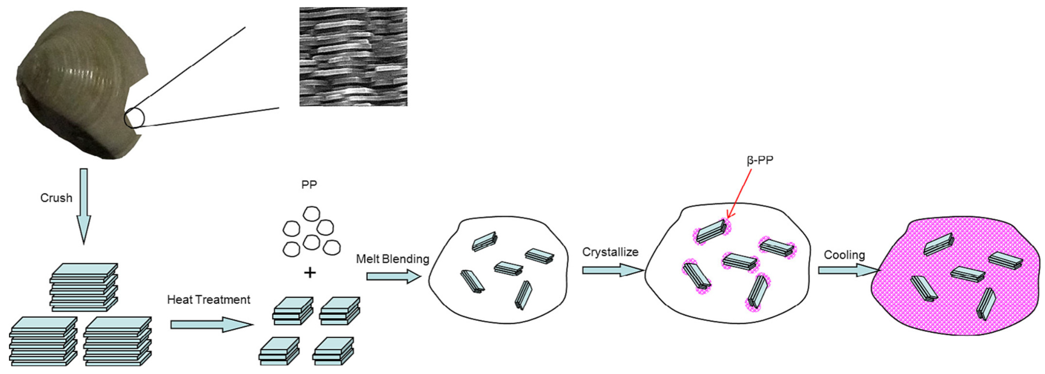 Polymers 15 03107 g002 Polymers 15 03107 g002