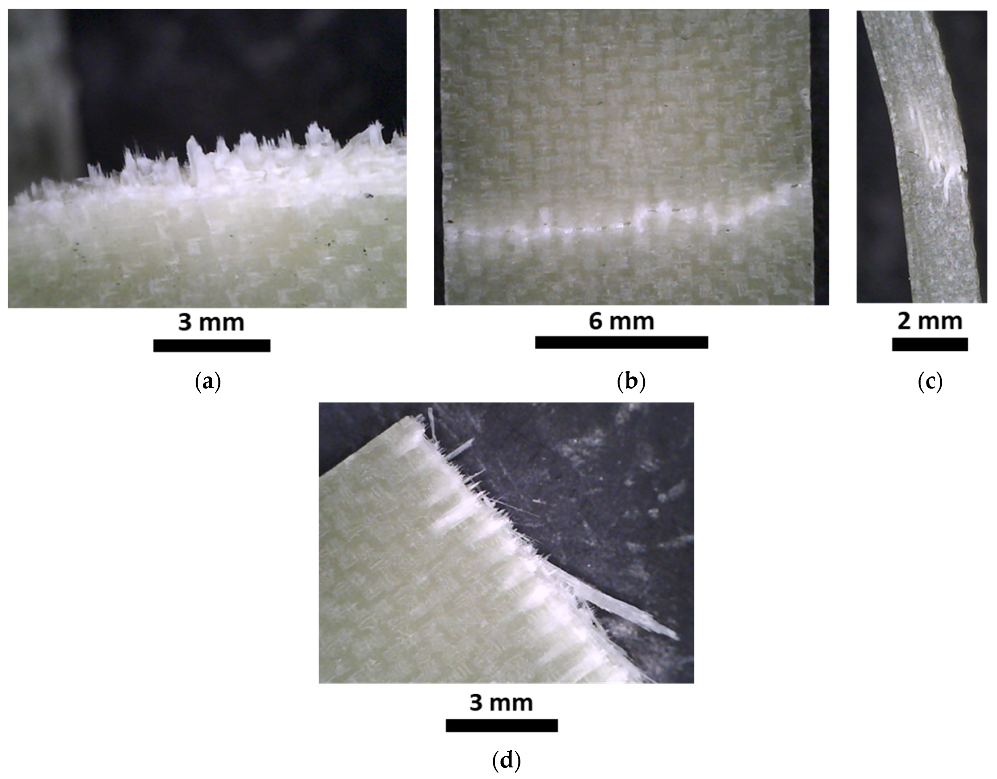 Polymers 15 03160 g010