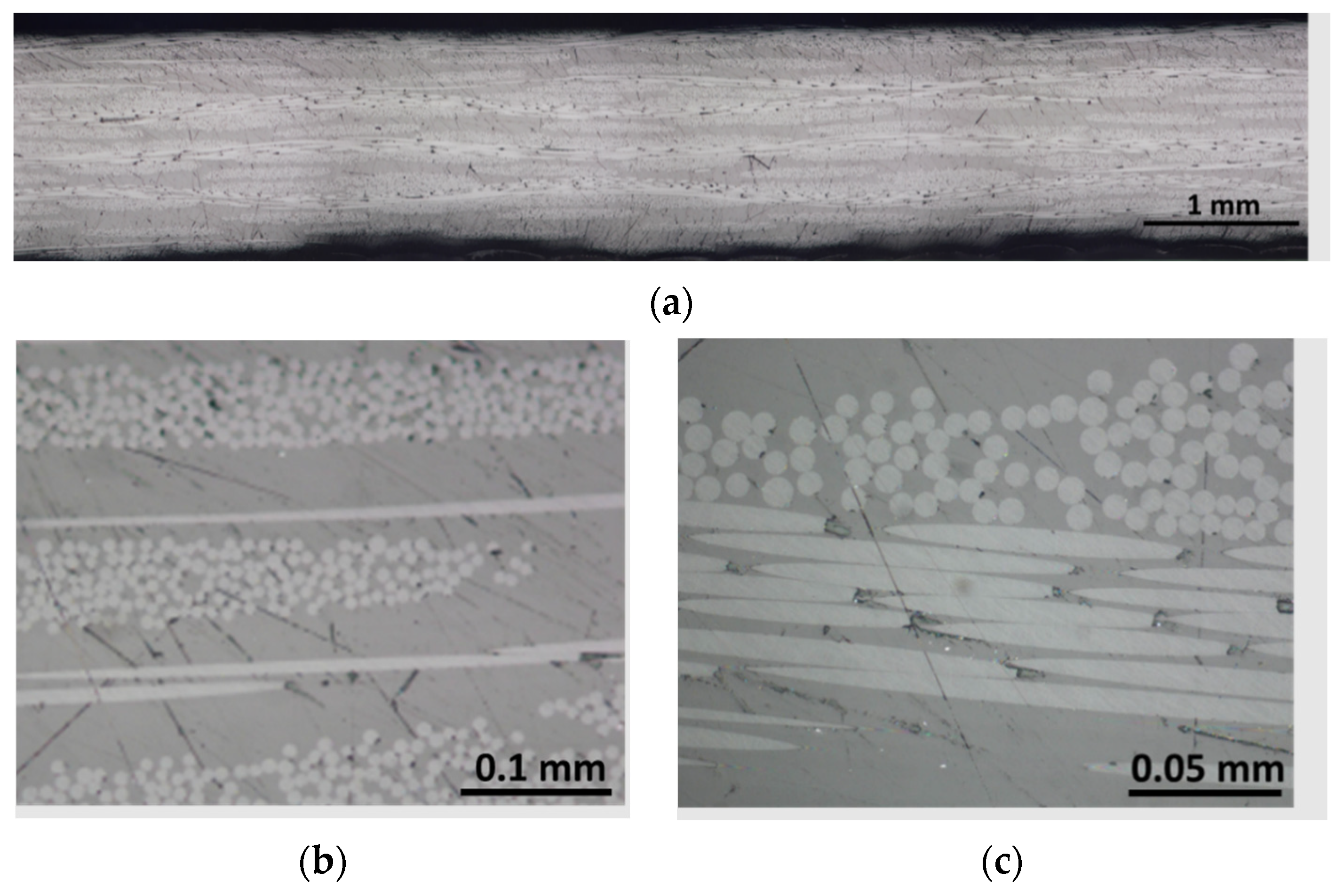 Polymers 15 03160 g011