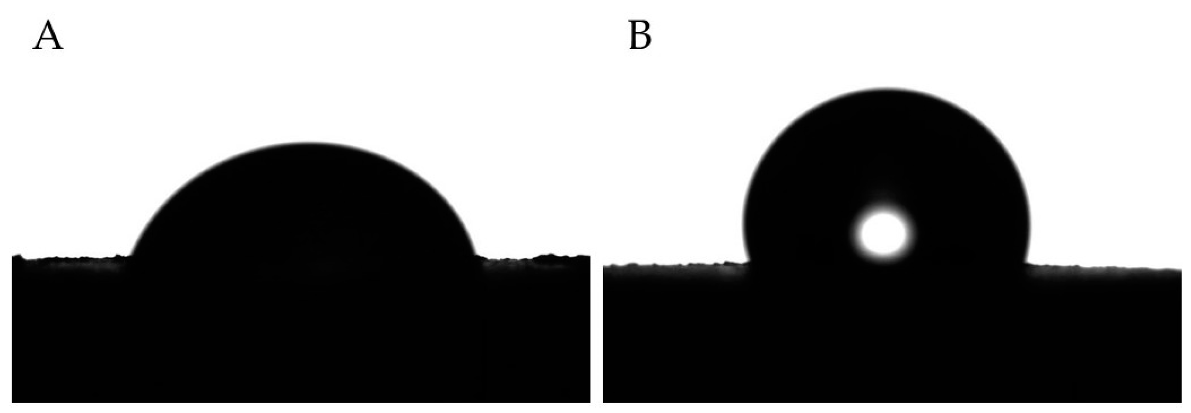 Polymers 15 03186 g003