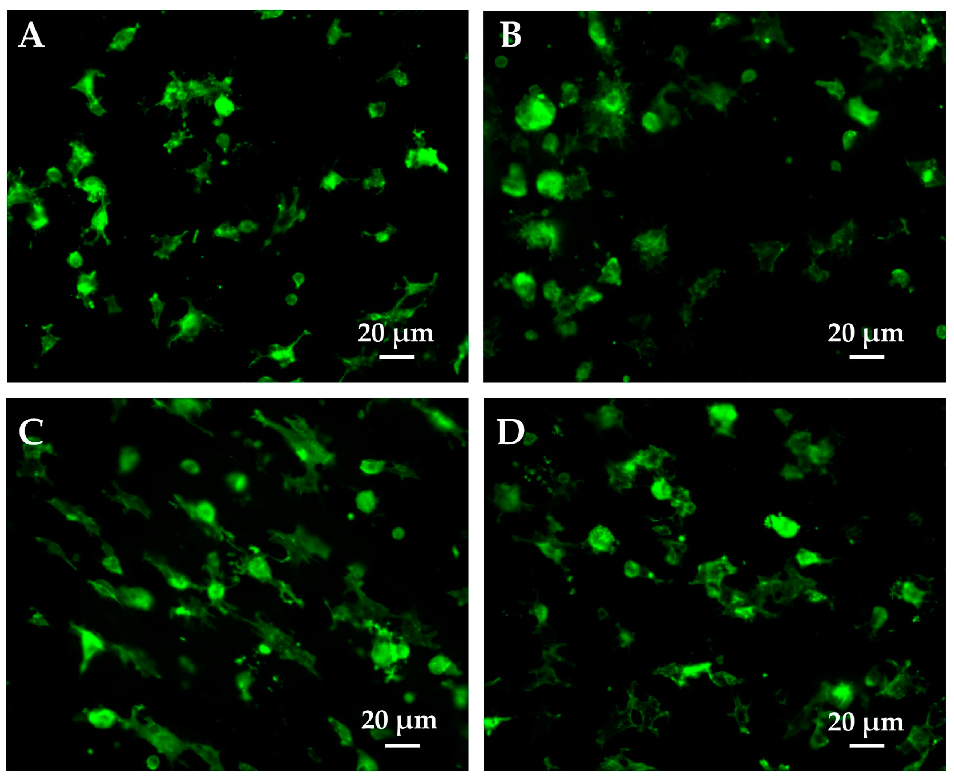 Polymers 15 03186 g007