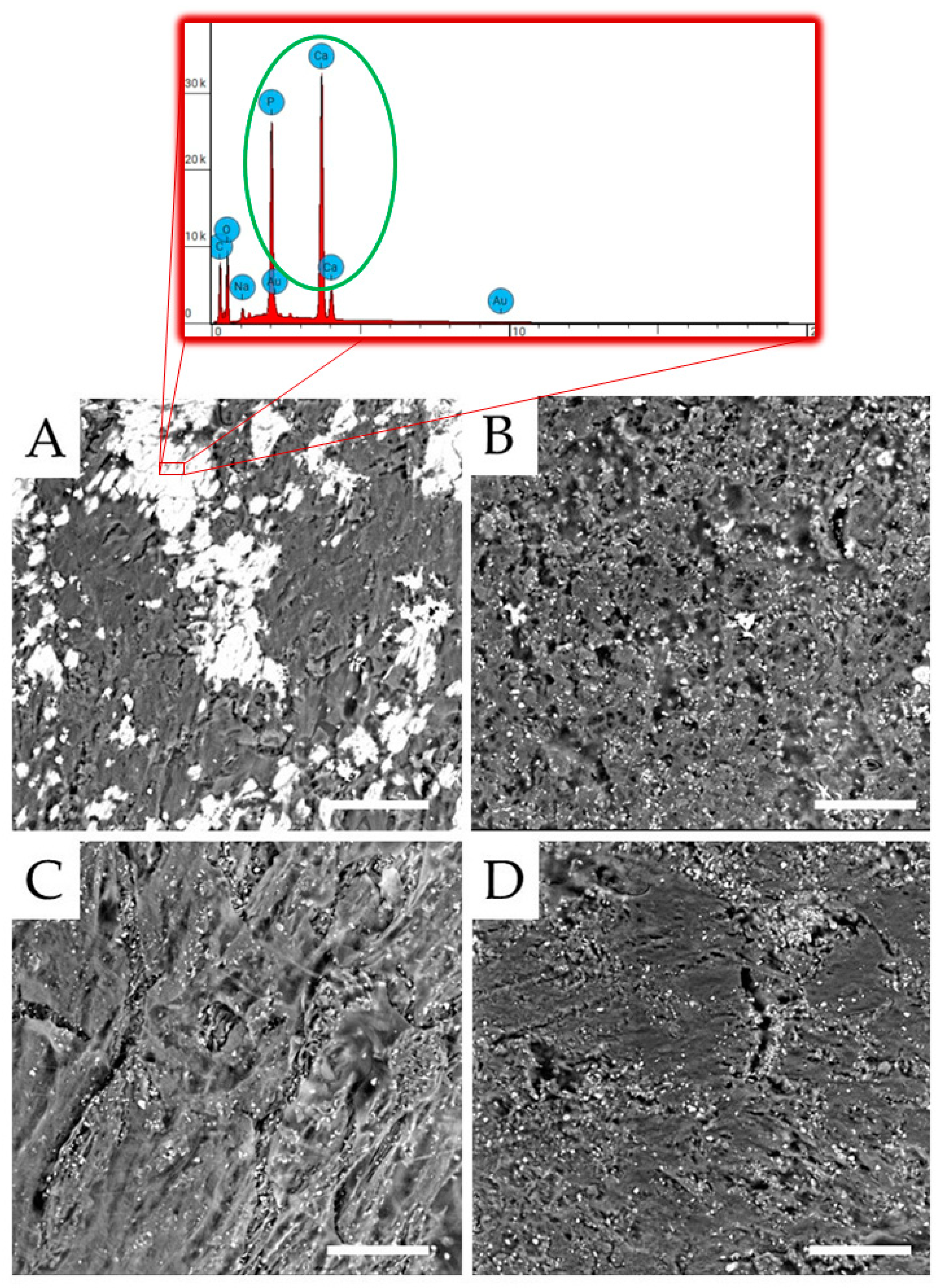 Polymers 15 03186 g011