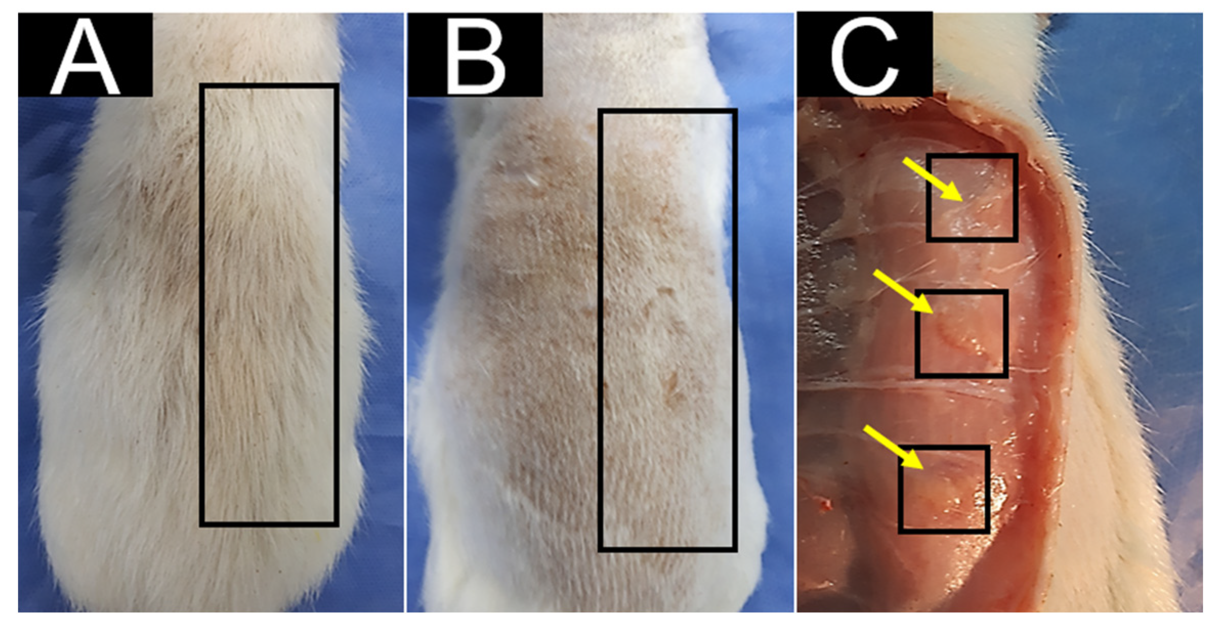 Polymers 15 03213 g006