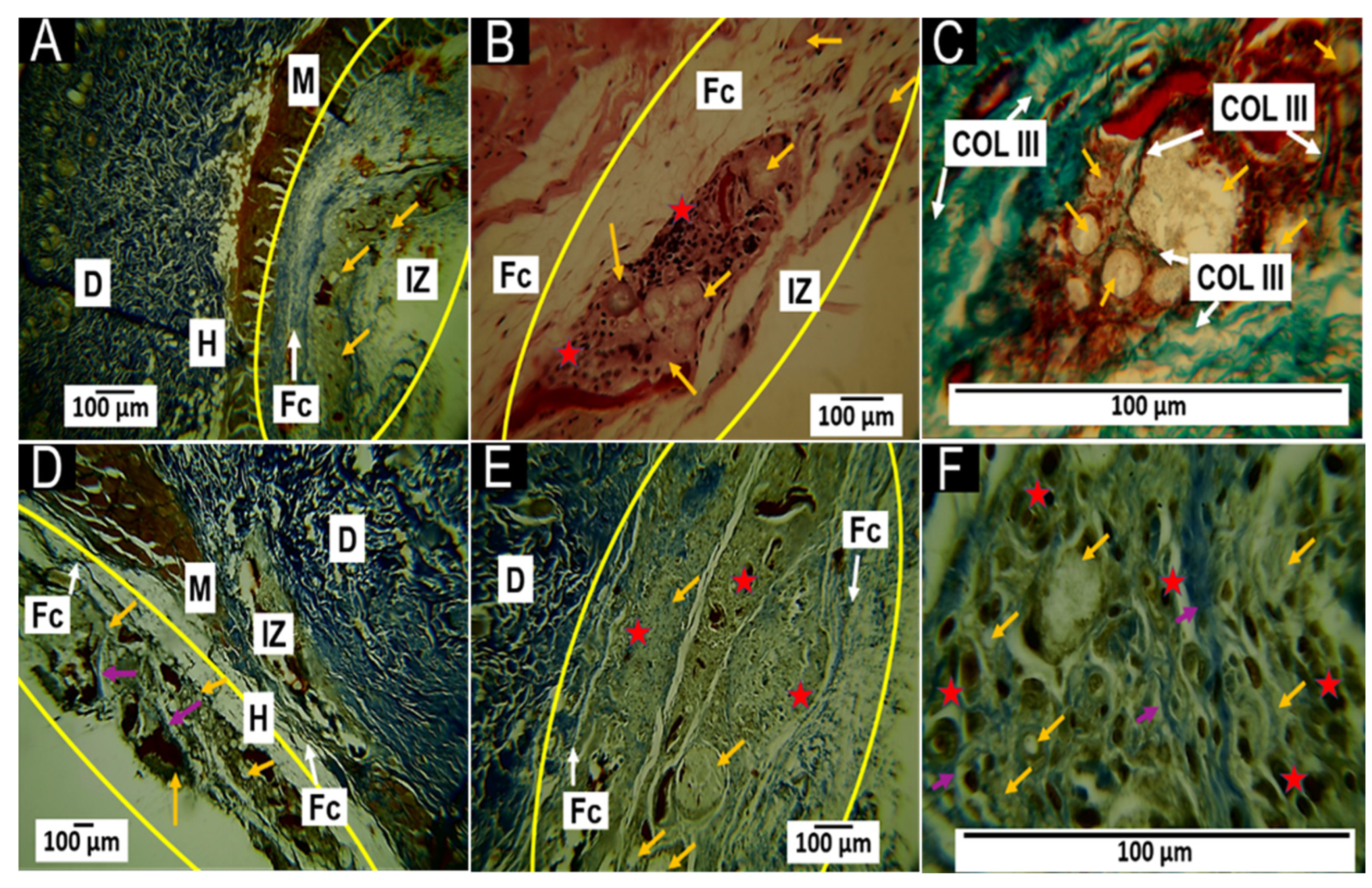 Polymers 15 03213 g008