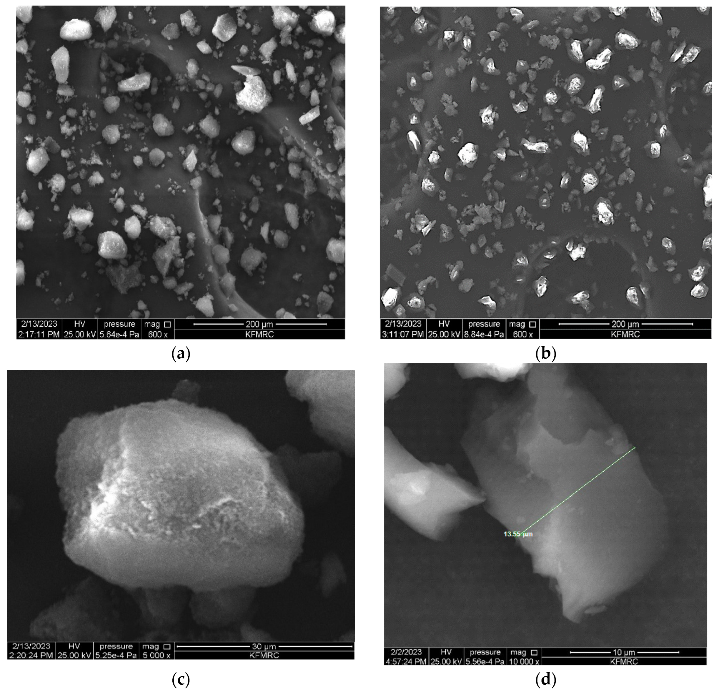 Polymers 15 03279 g004a