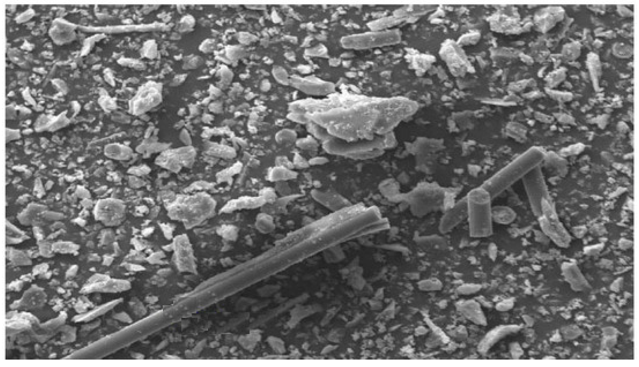 Polymers 15 03320 g007