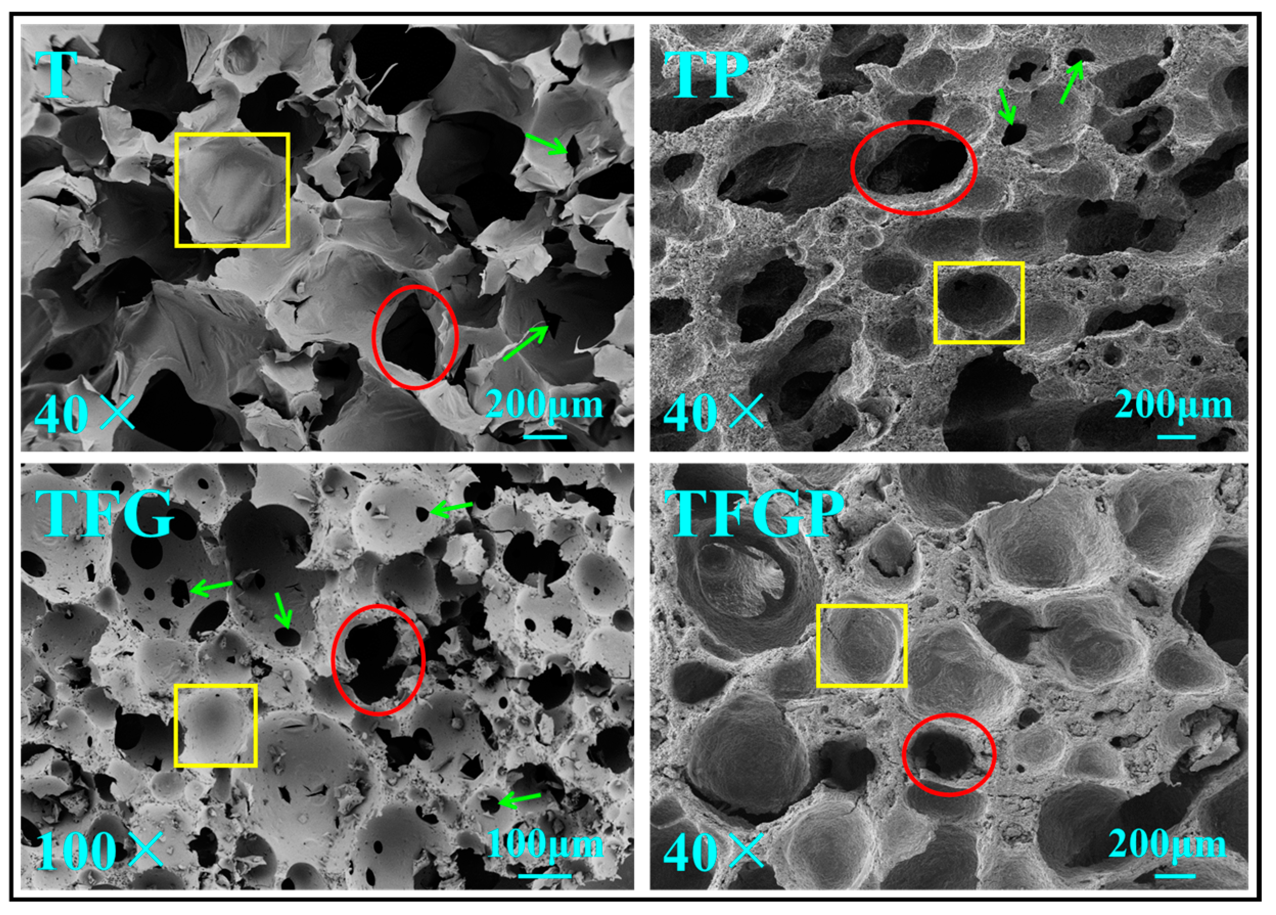 Polymers 15 03480 g004