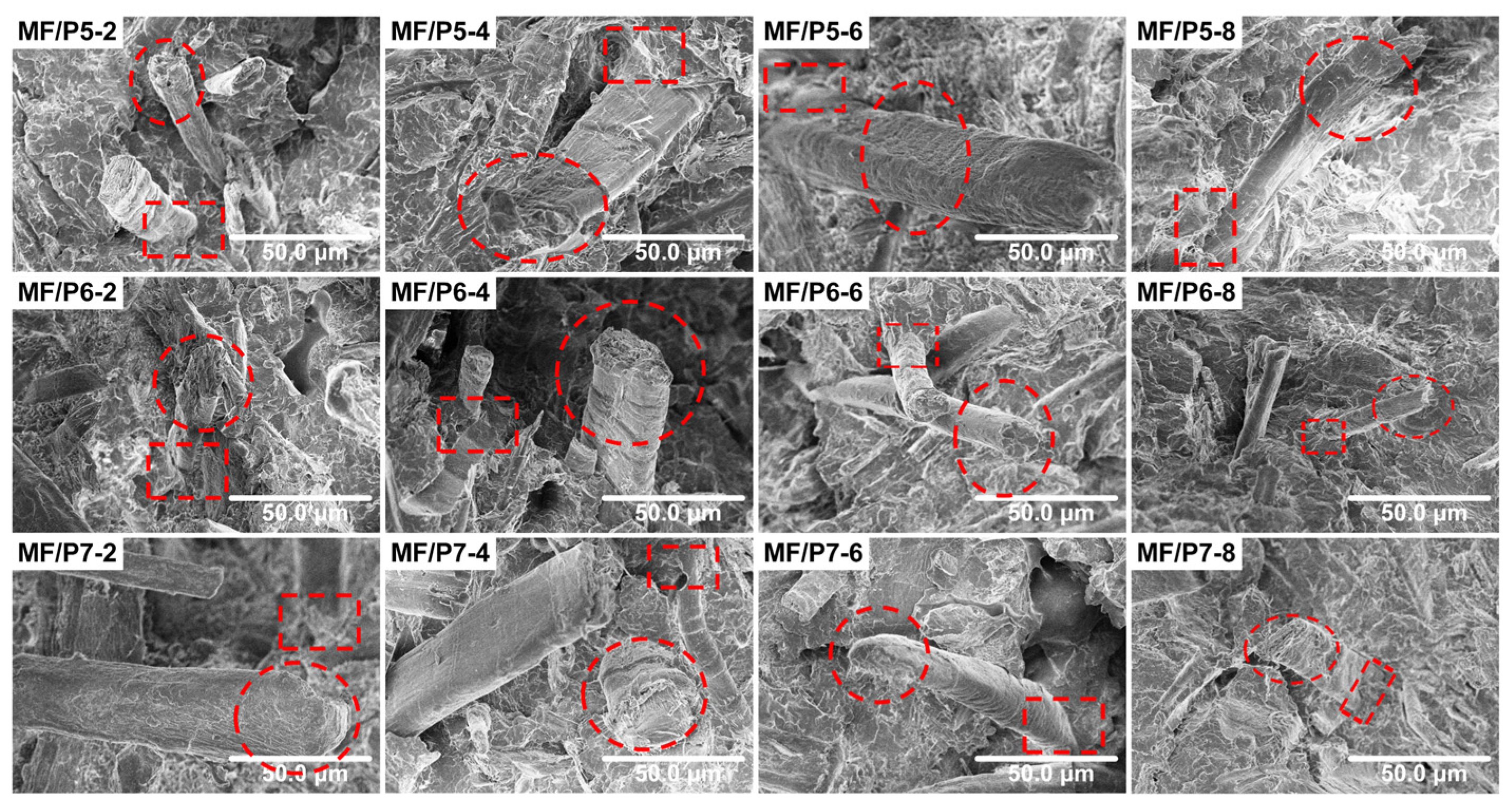 Polymers 15 03525 g003