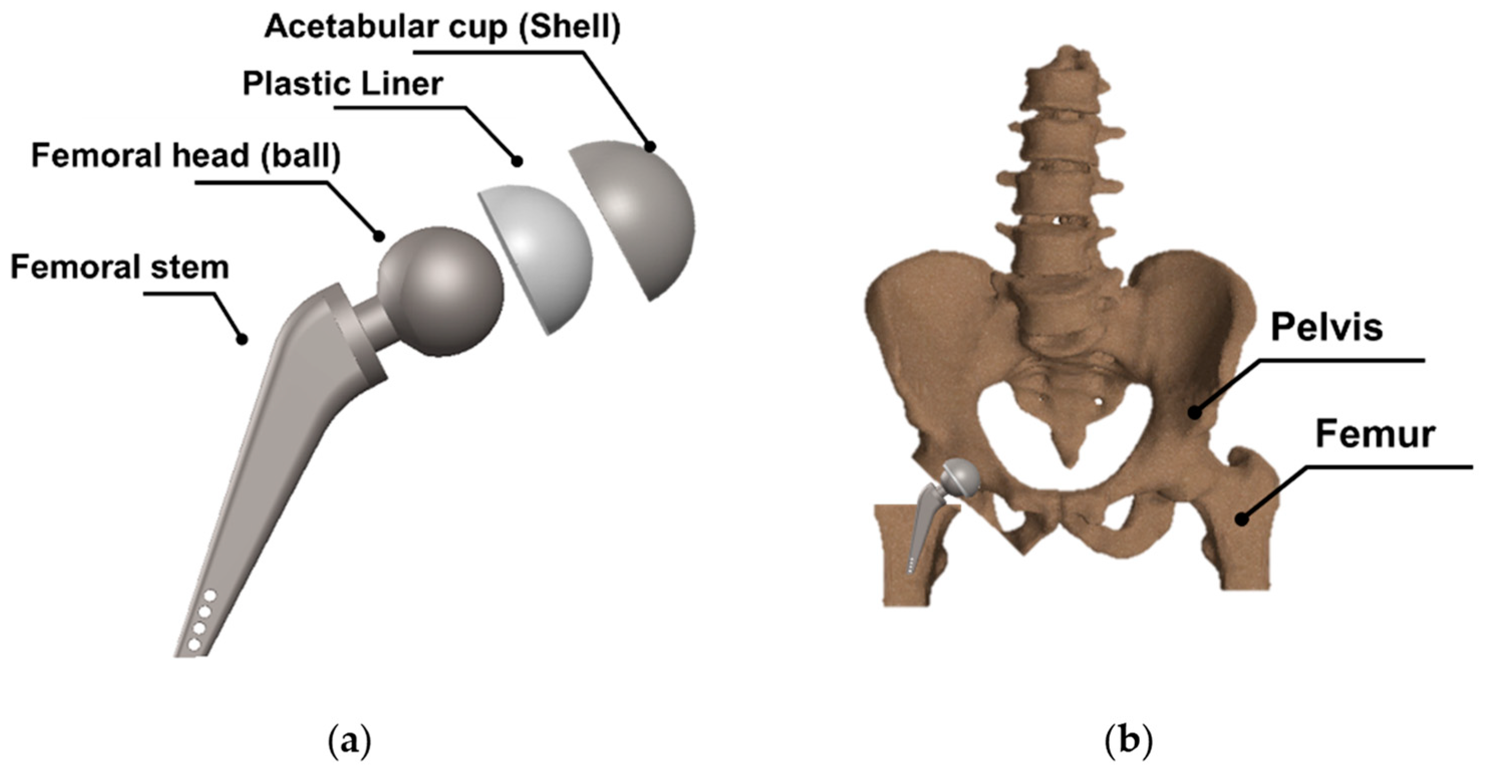 Polymers 15 03560 g003