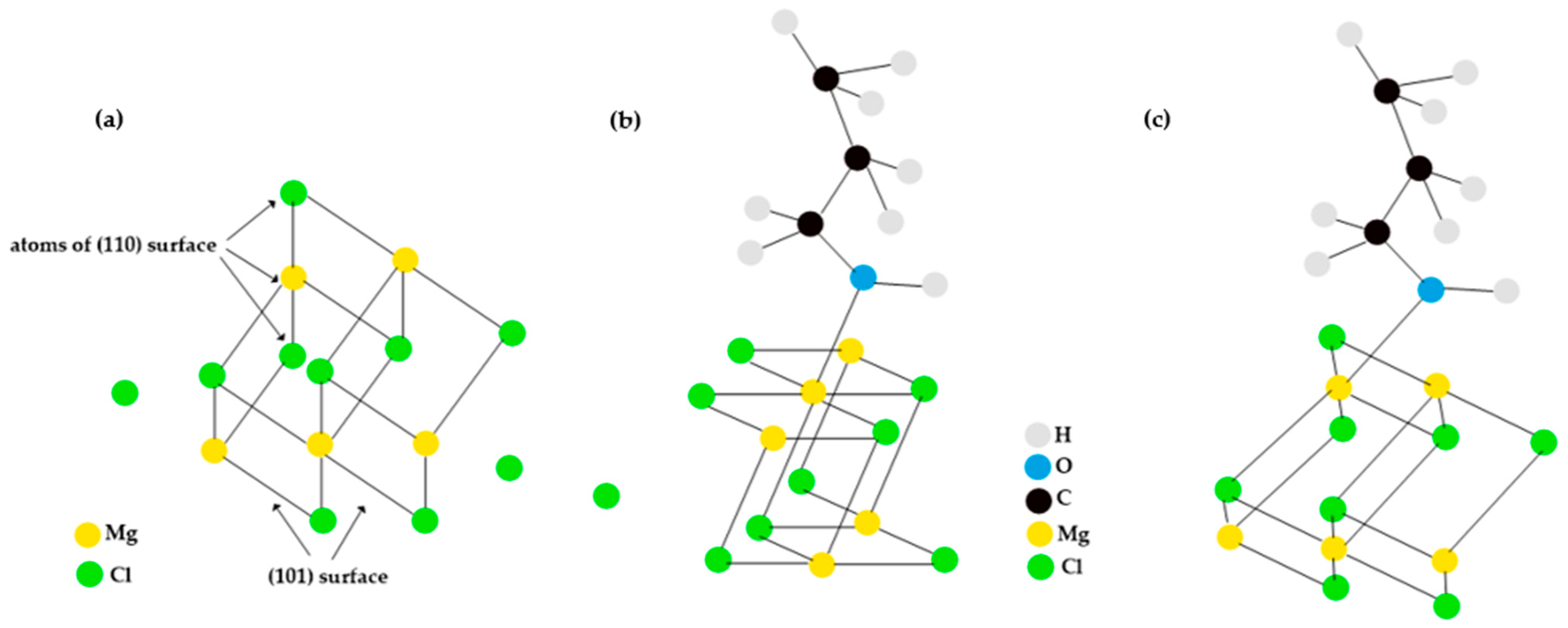 Polymers 15 03619 g002