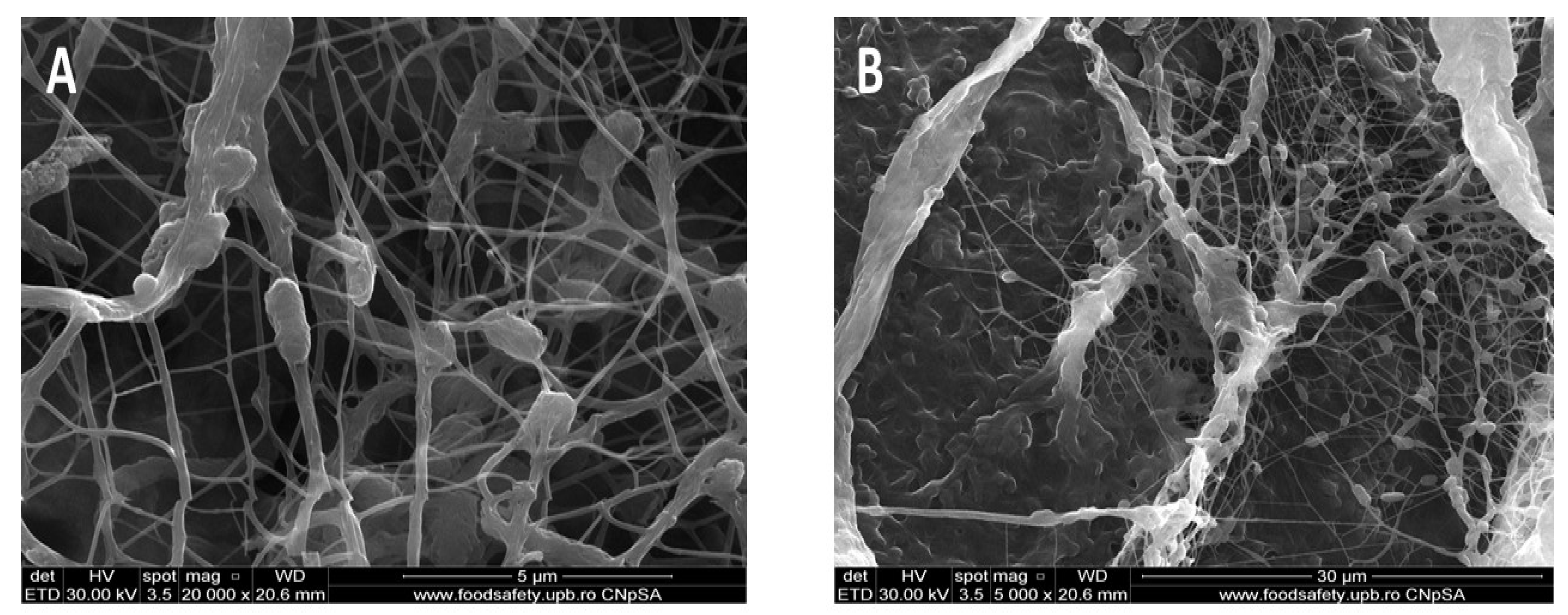 Polymers 15 03629 g002a