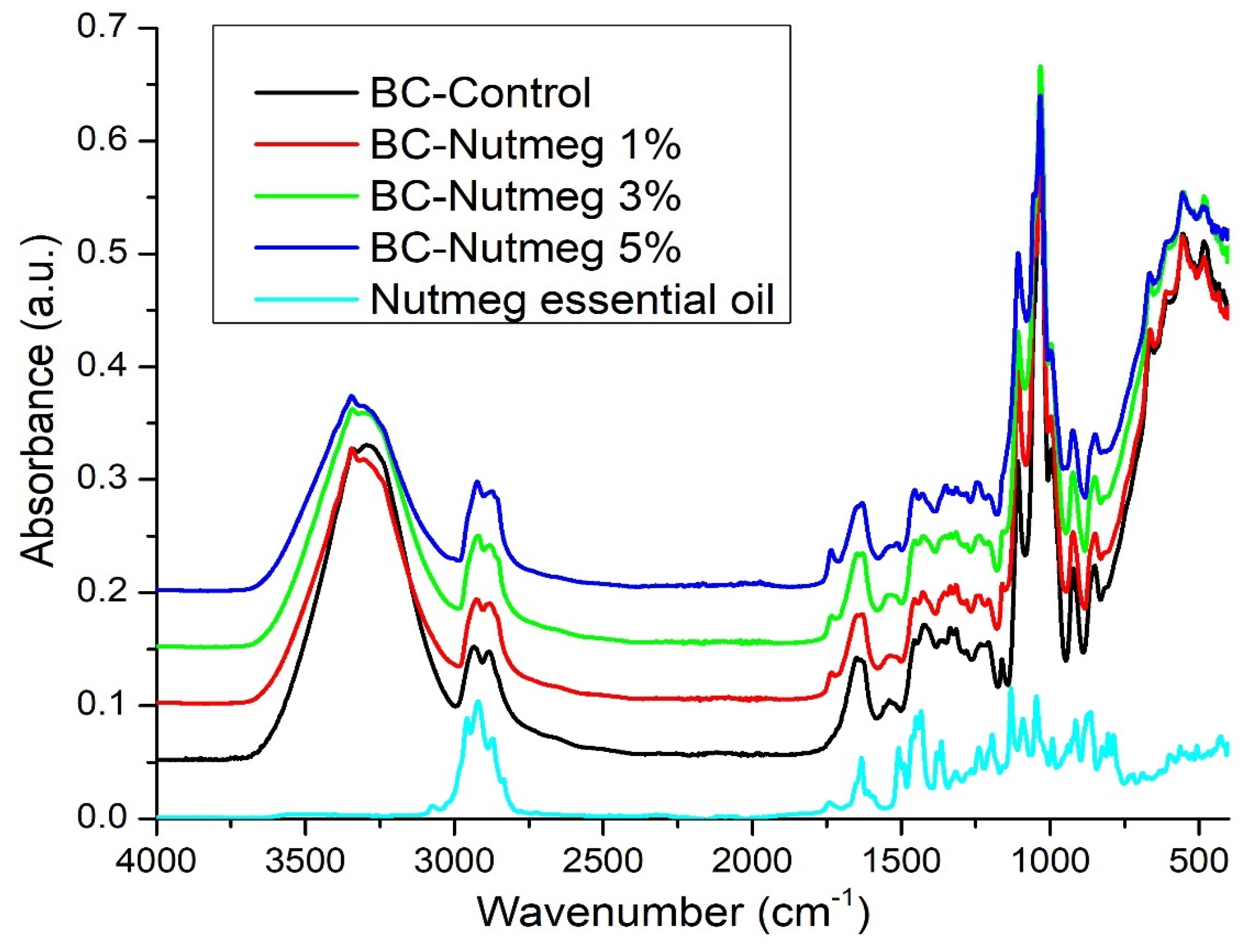 Polymers 15 03629 g003