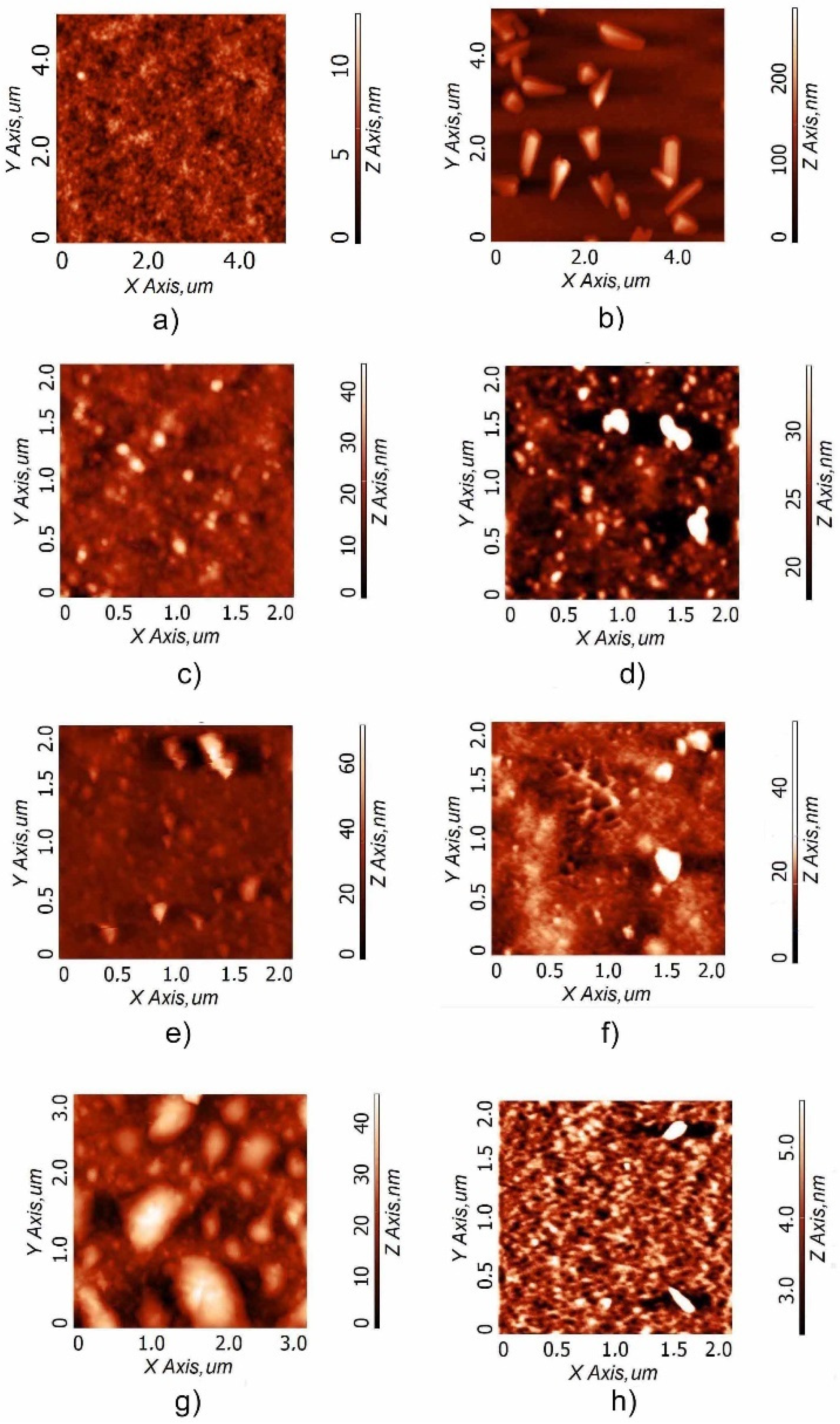 Polymers 15 03675 g004