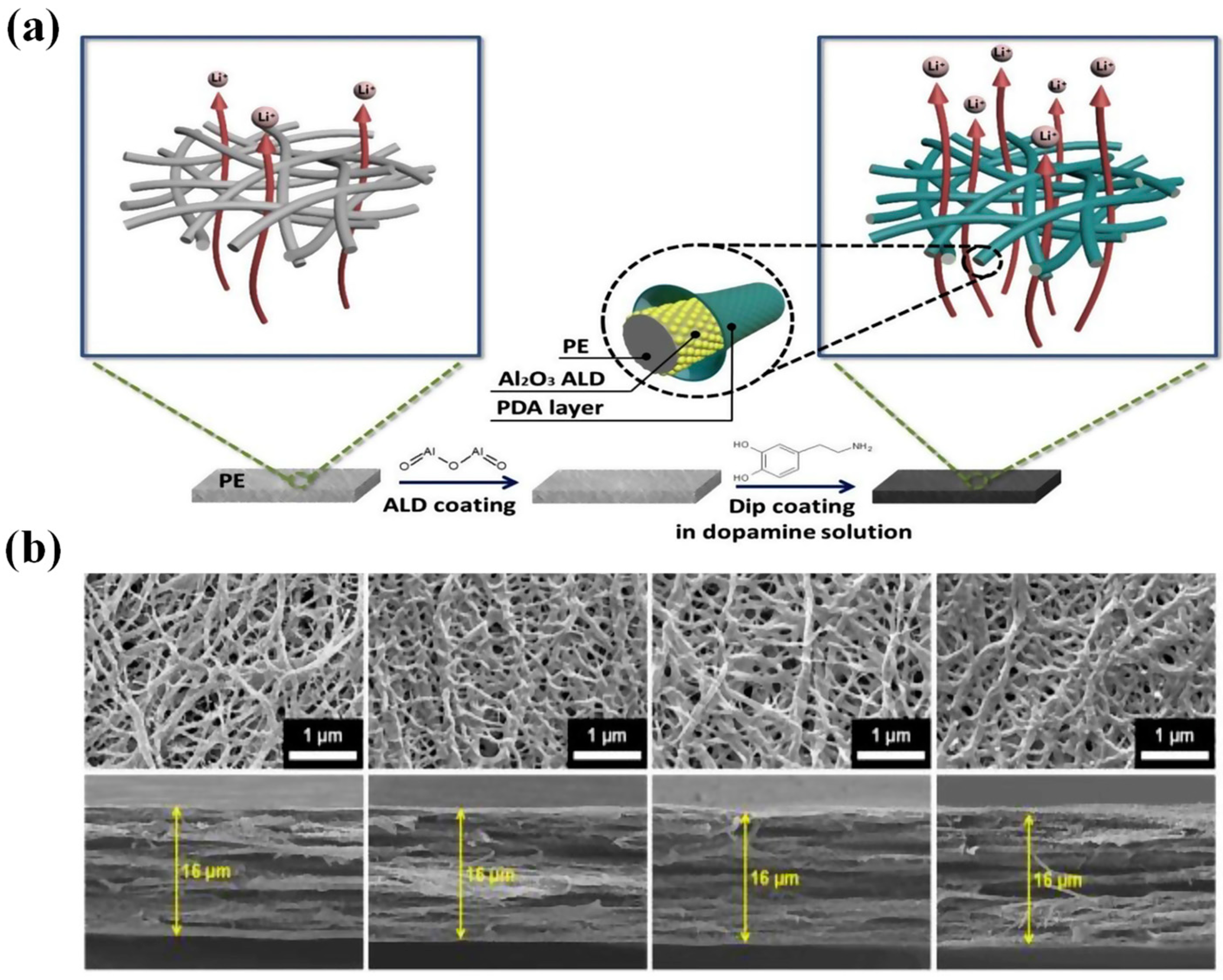 Polymers 15 03690 g003