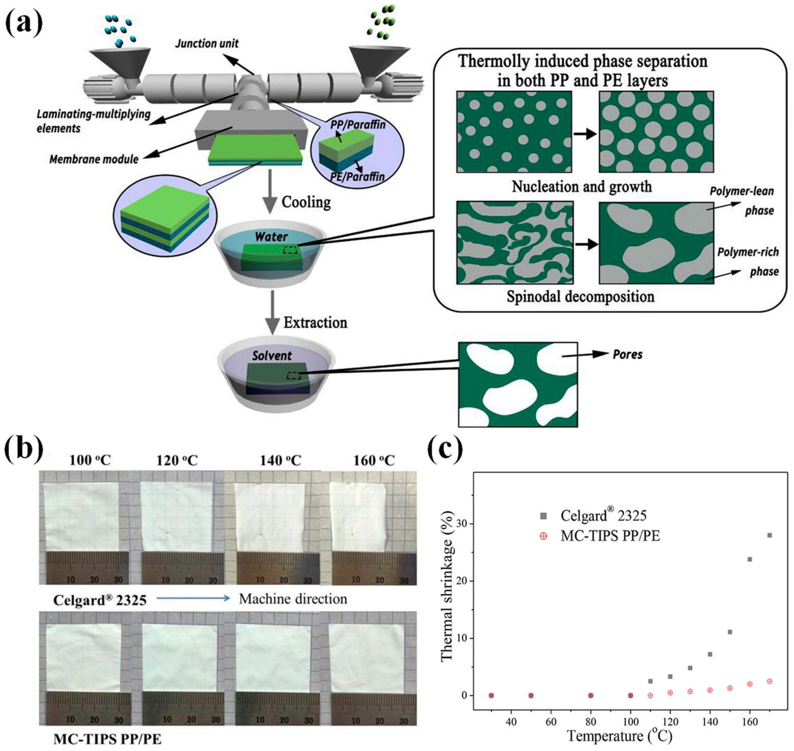 Polymers 15 03690 g008