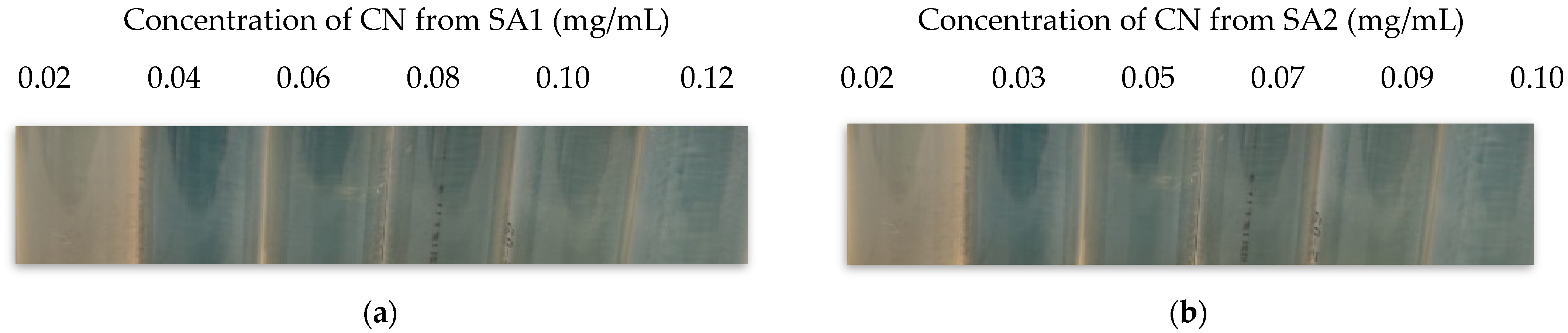 Polymers 15 03759 g004