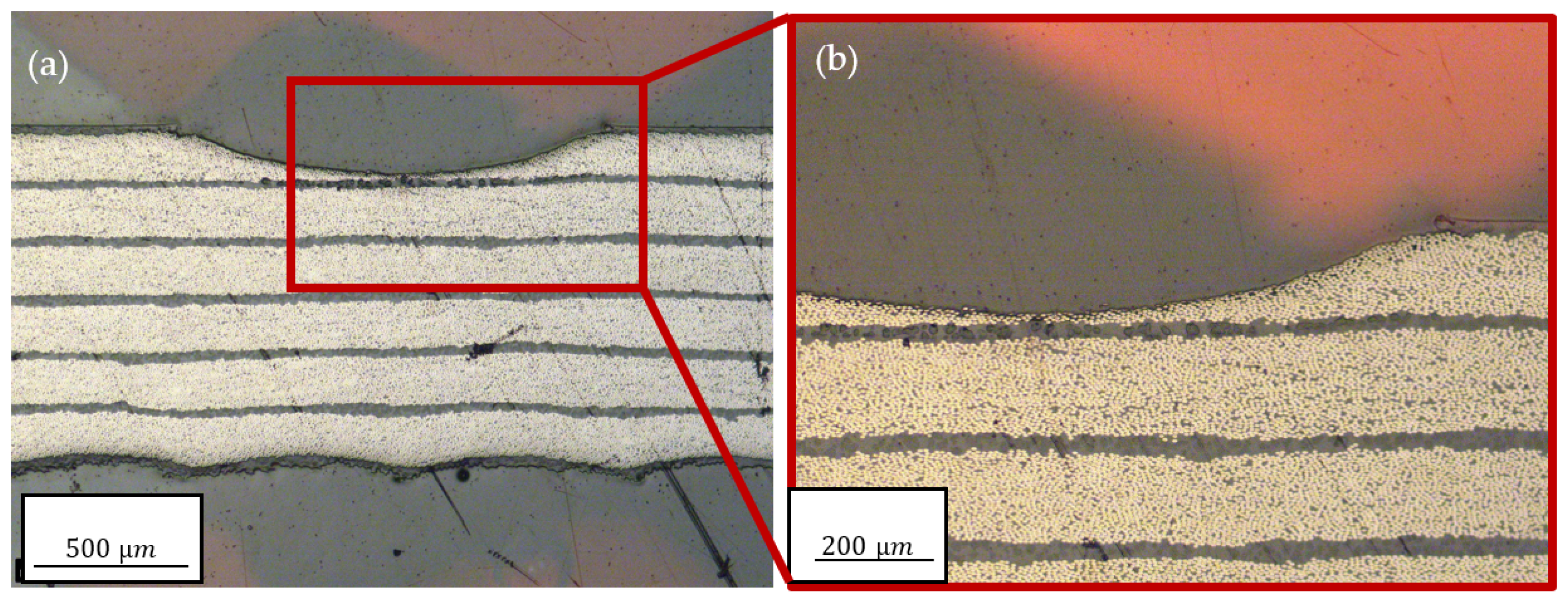 Polymers 15 03851 g009