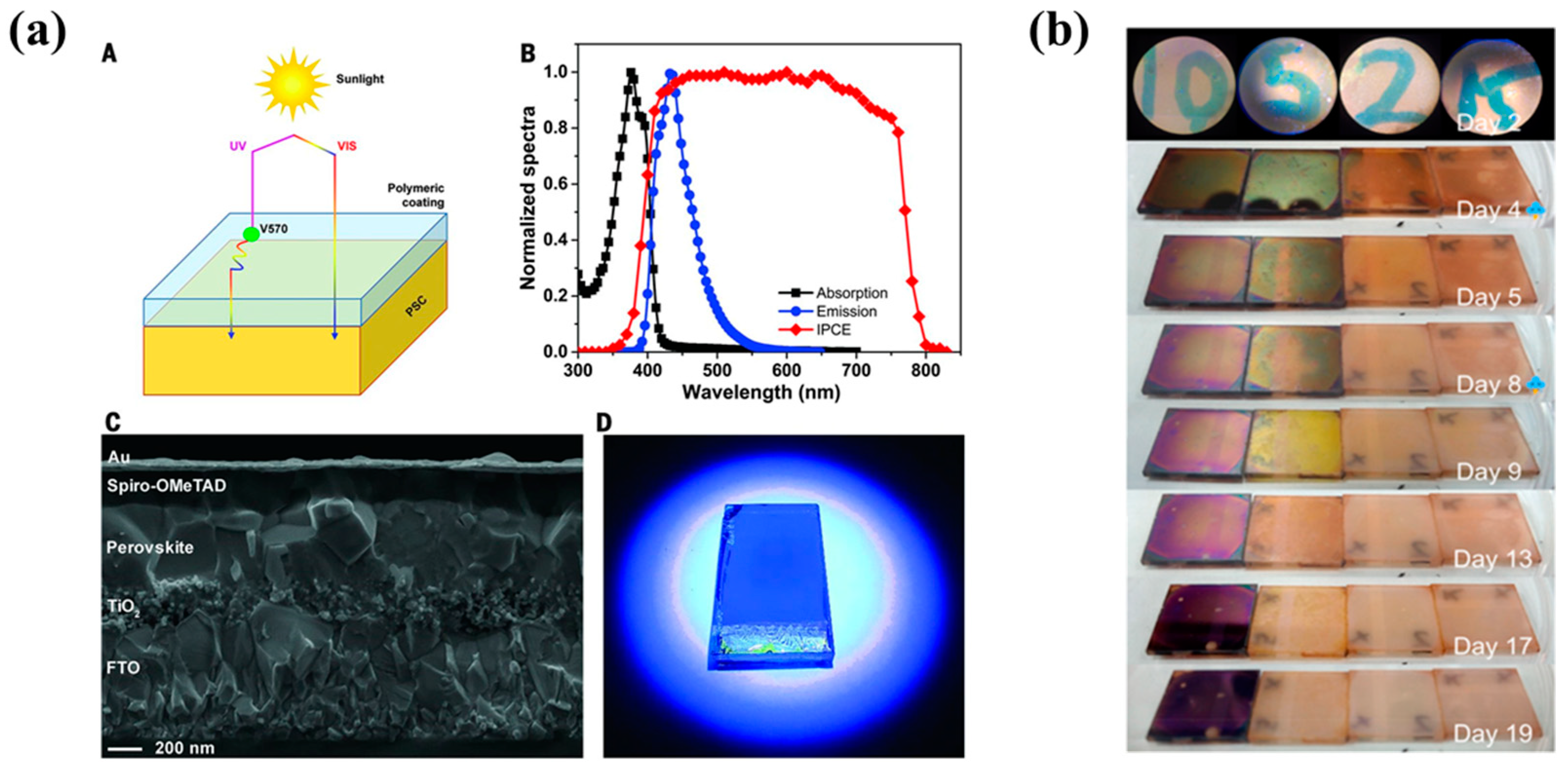 Polymers 15 03911 g014