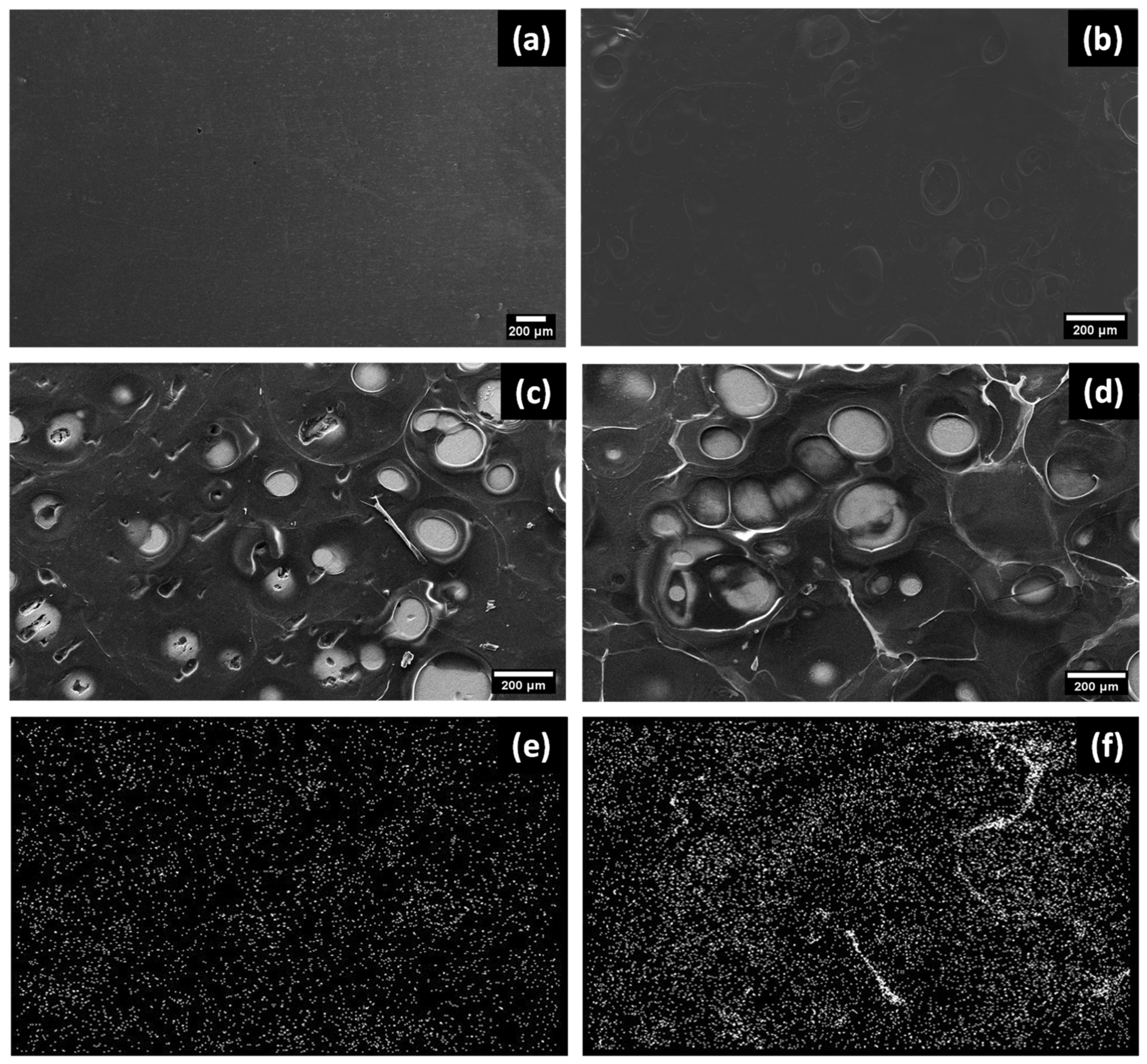 Polymers 15 04130 g002