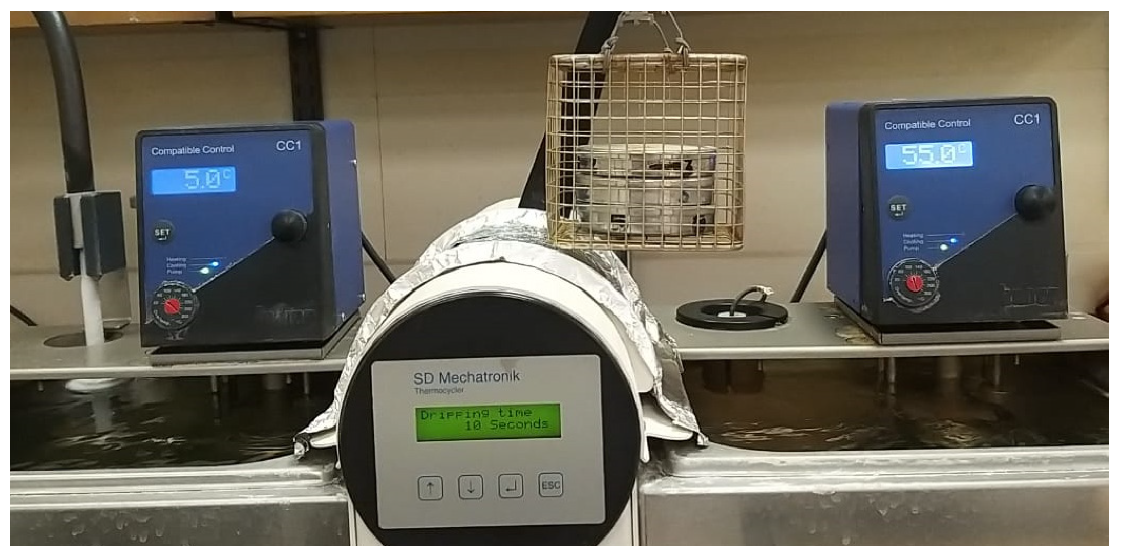 Polymers 15 04284 g007