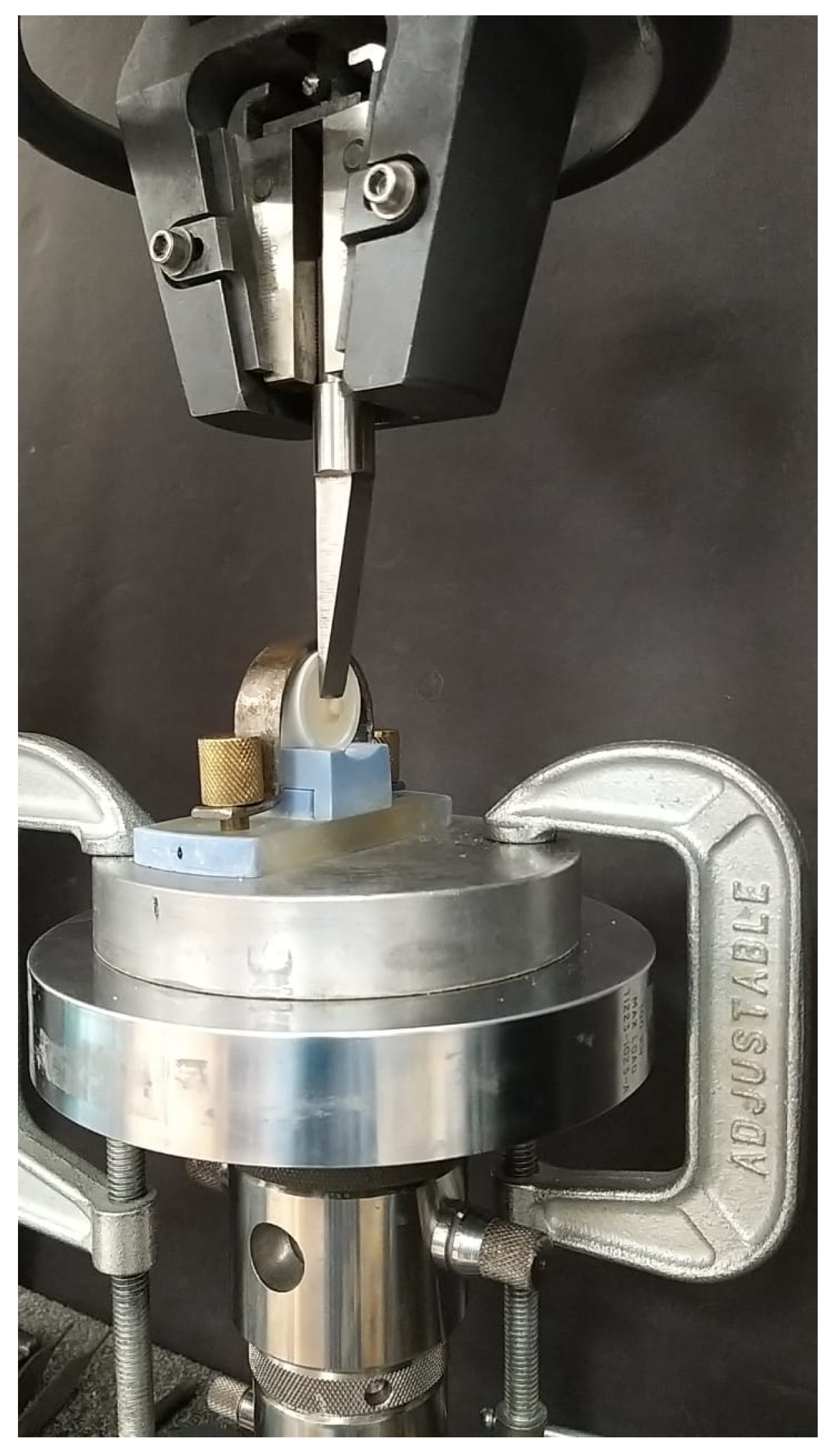 Polymers 15 04284 g008