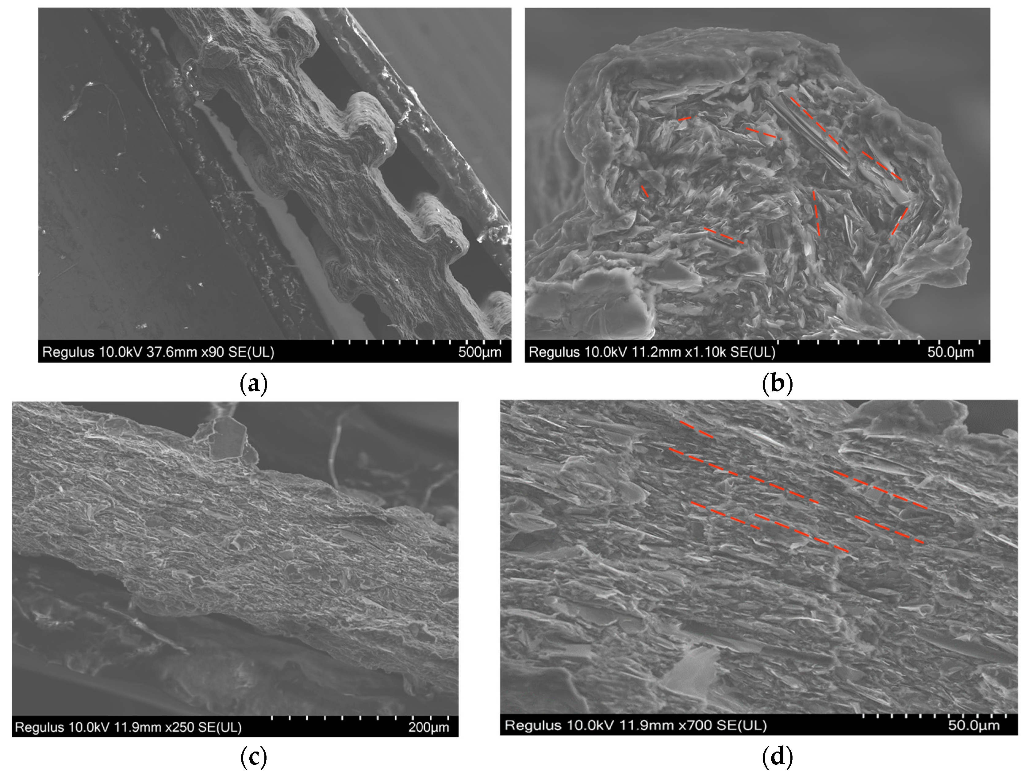 Polymers 15 04411 g005