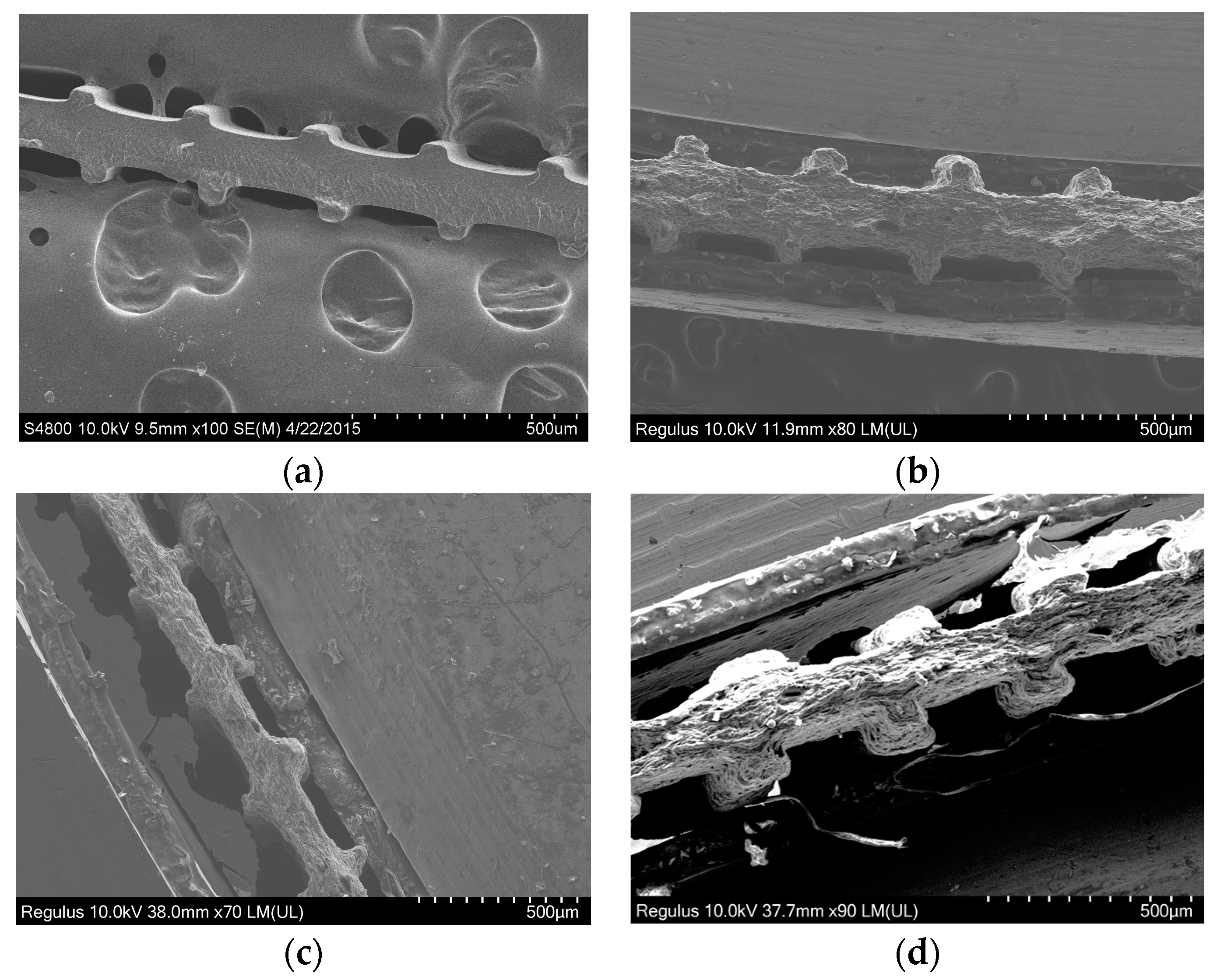 Polymers 15 04411 g006
