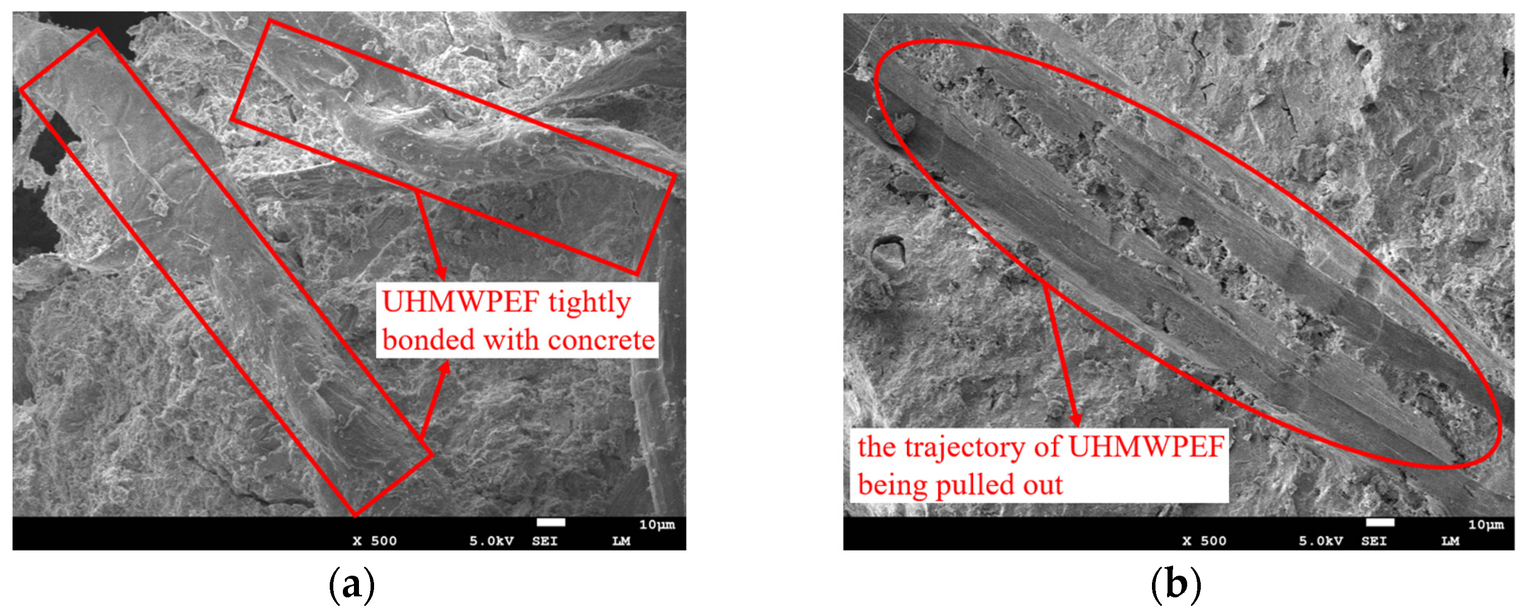 Polymers 15 04573 g012