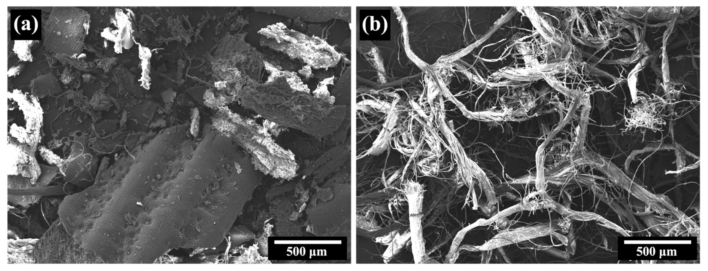 Polymers 15 04697 g004