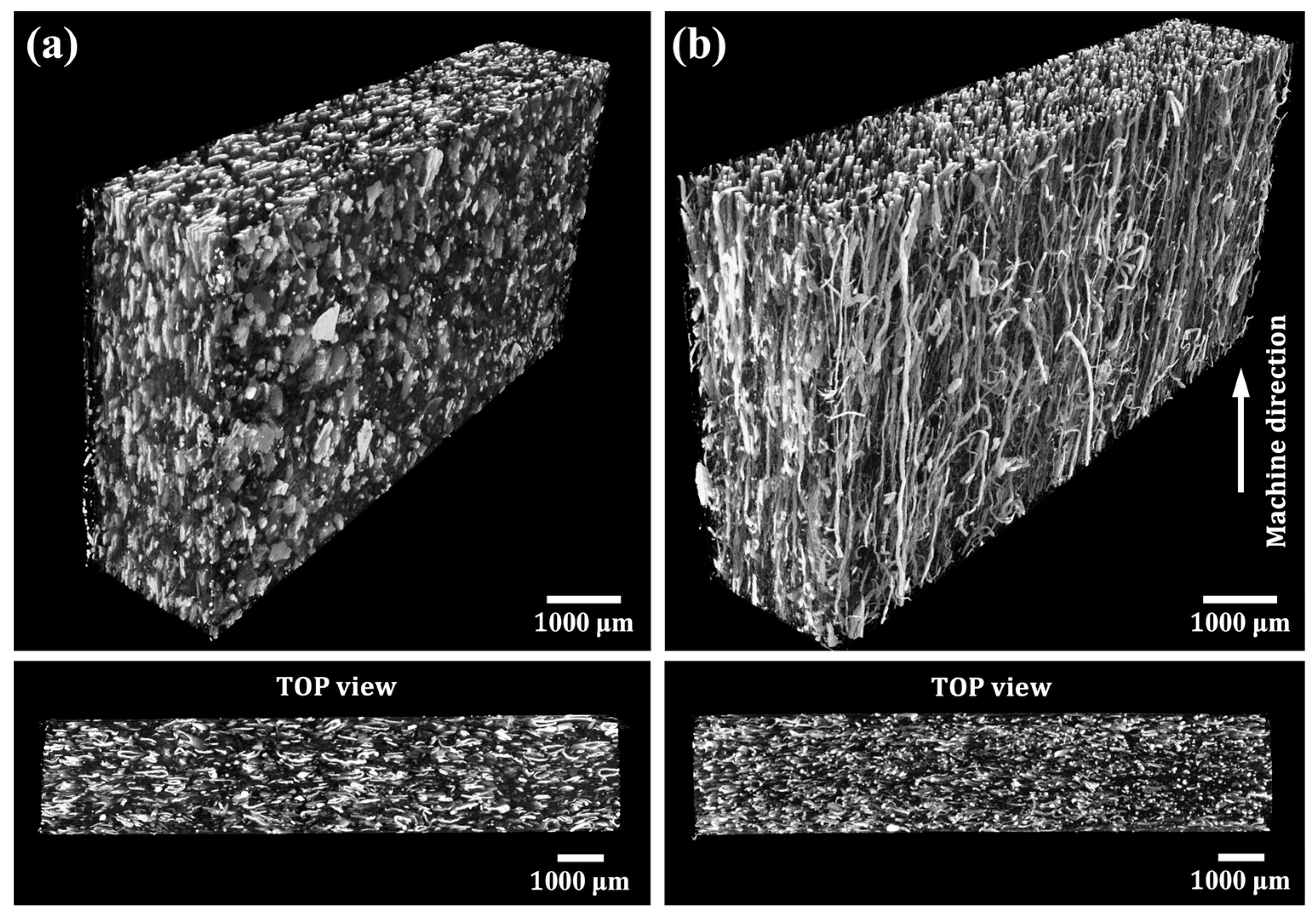 Polymers 15 04697 g006