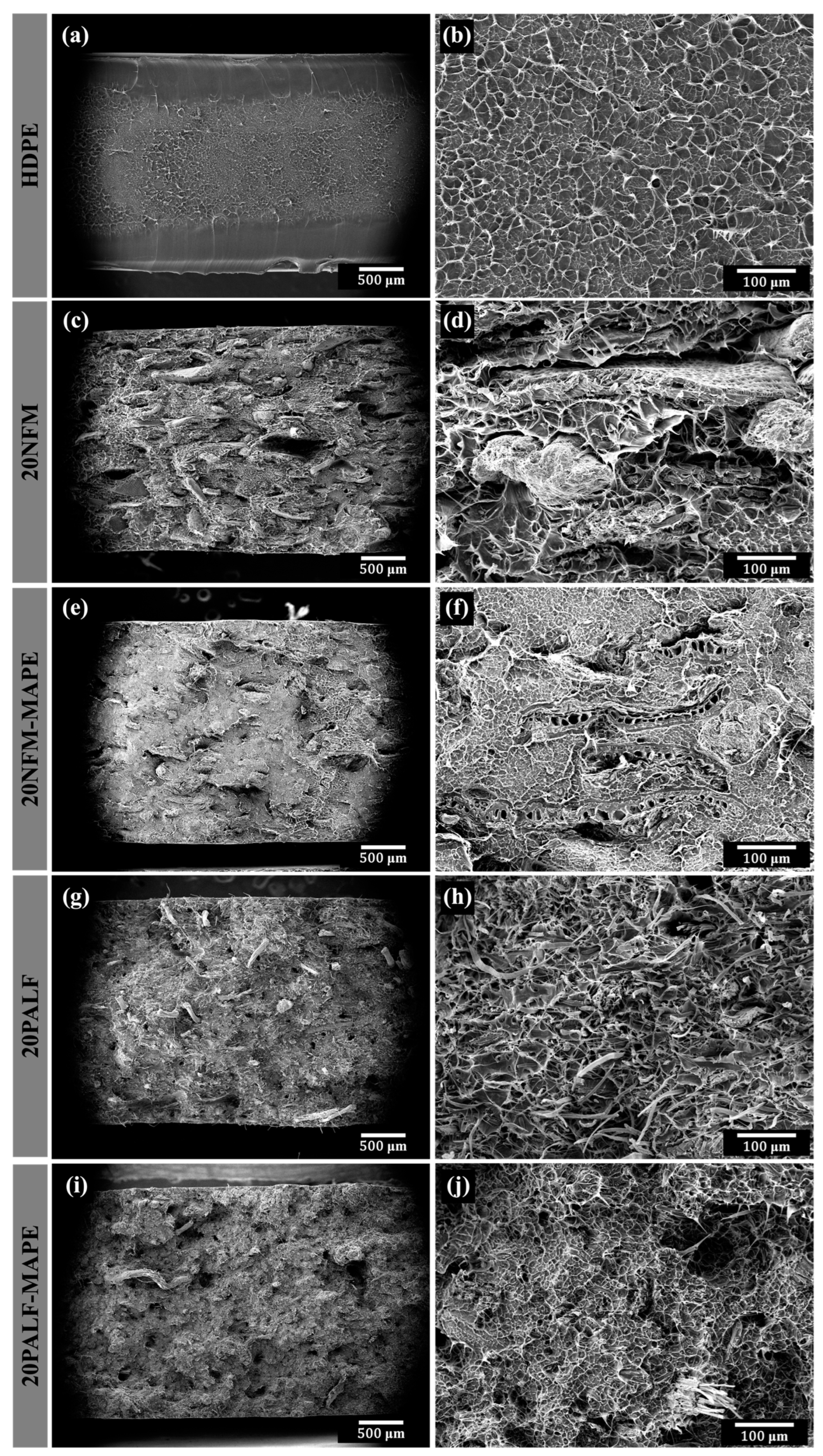 Polymers 15 04697 g012